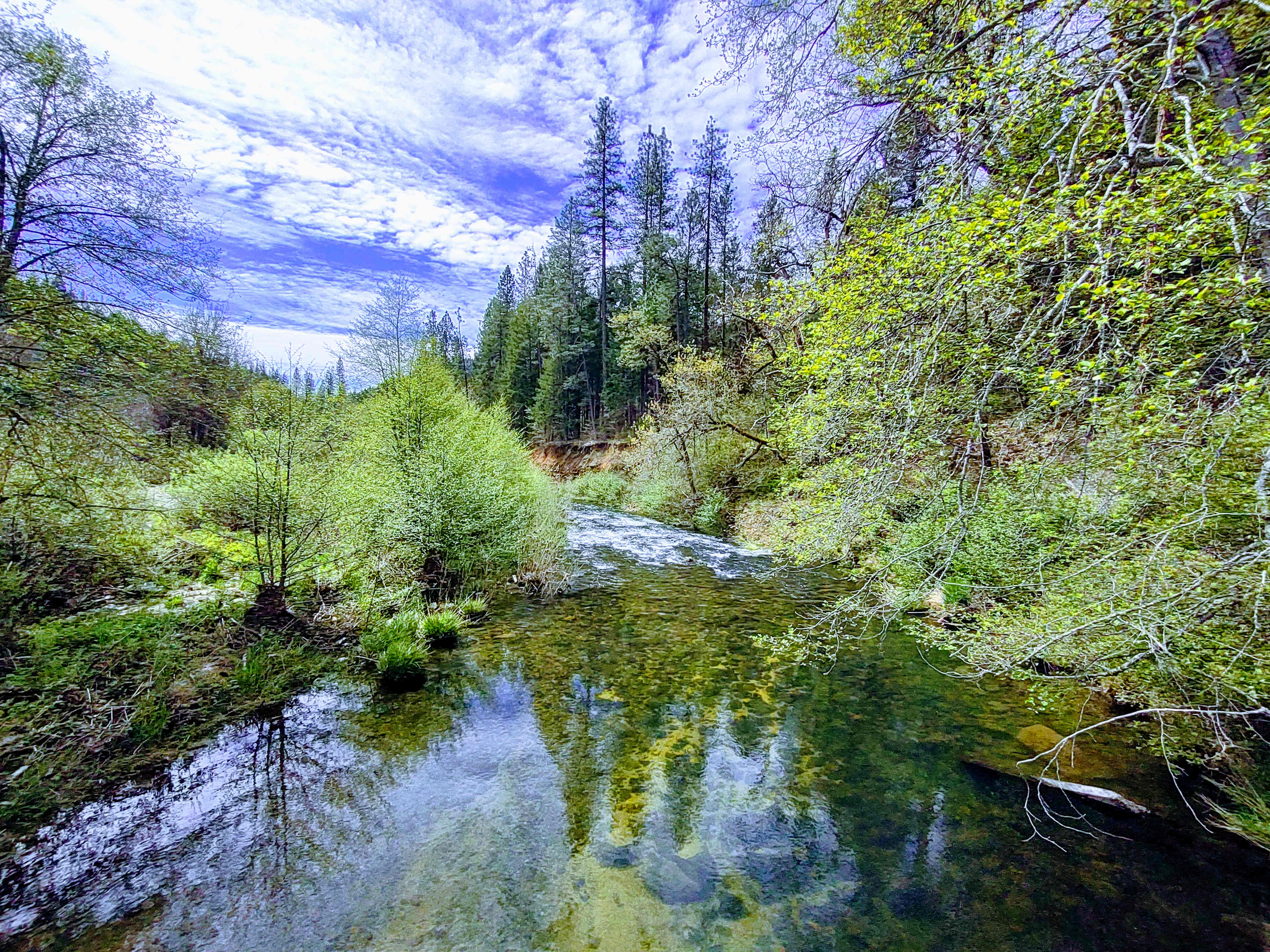Creekside Campground