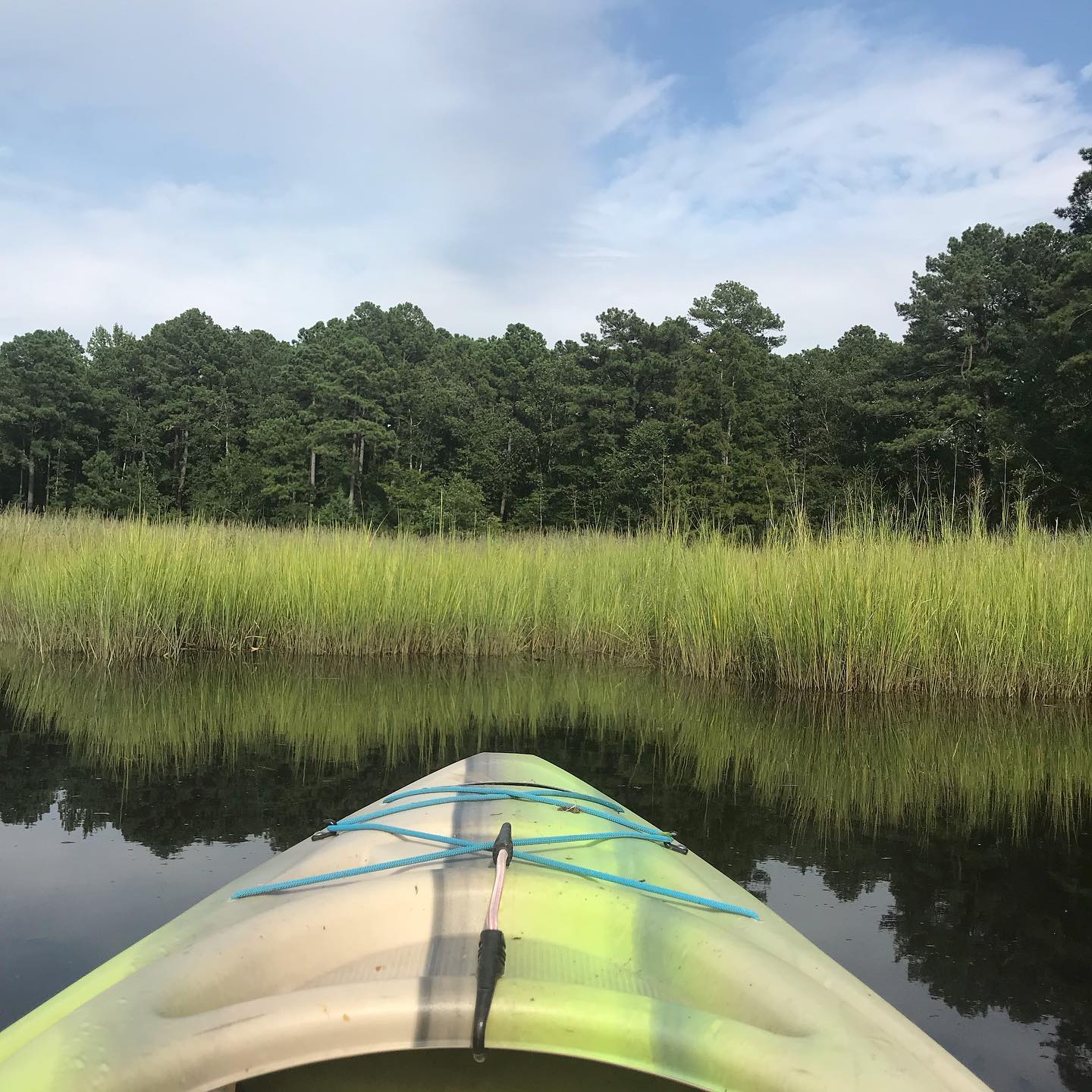 tons of great kayaking spots