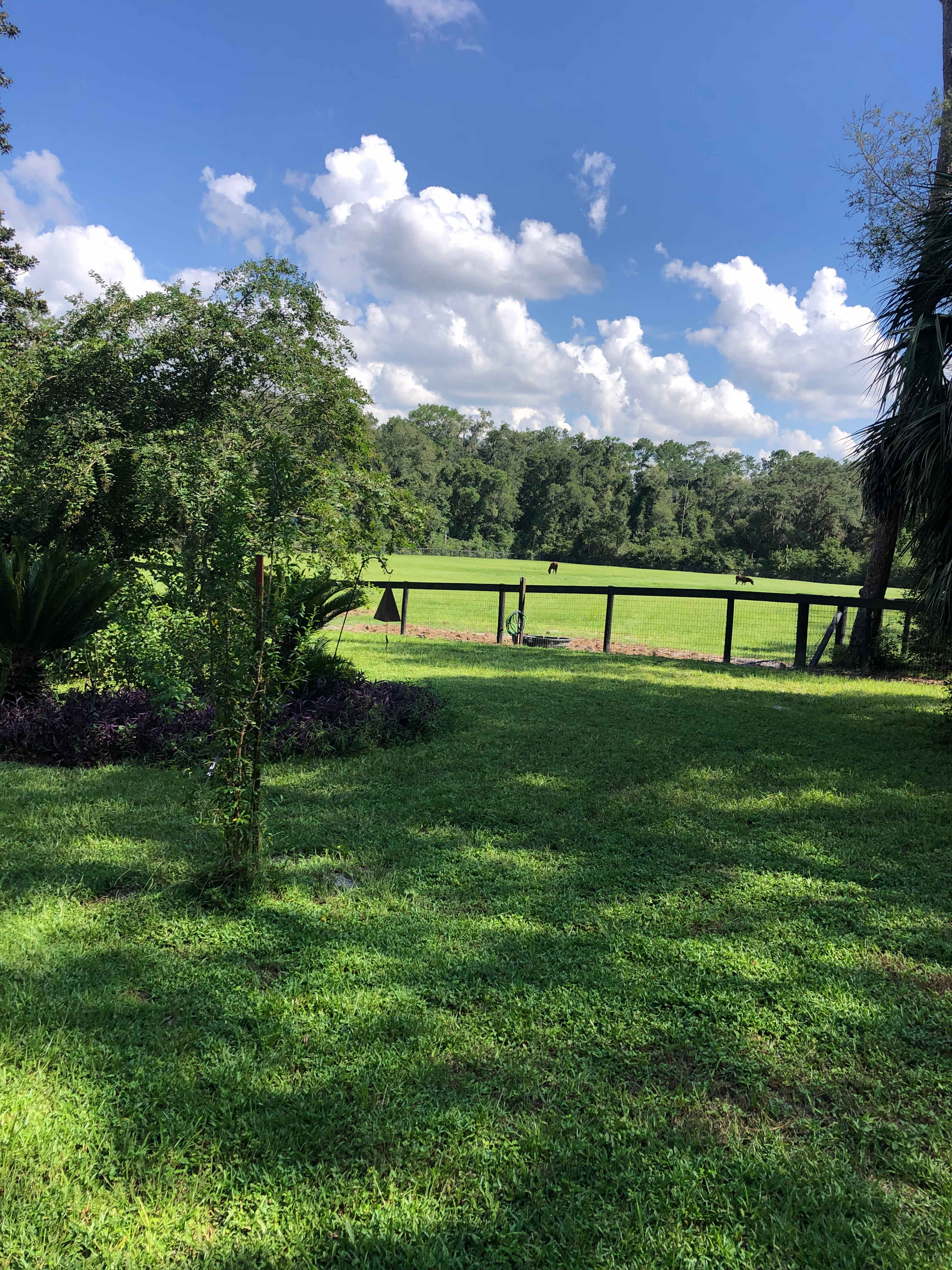 Pegasus Landing Farm