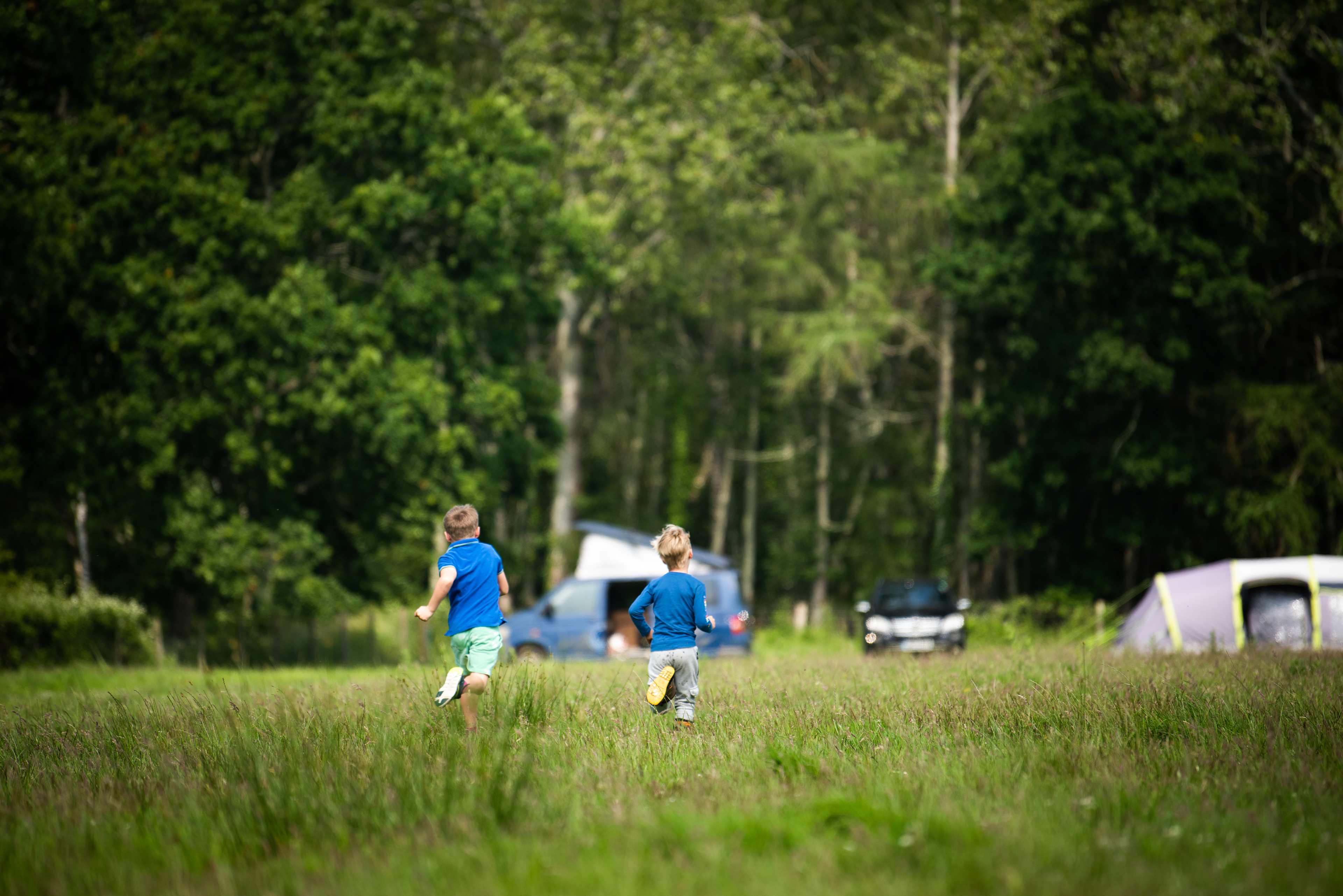 ShelleyOaks Farm Camping New Forest
