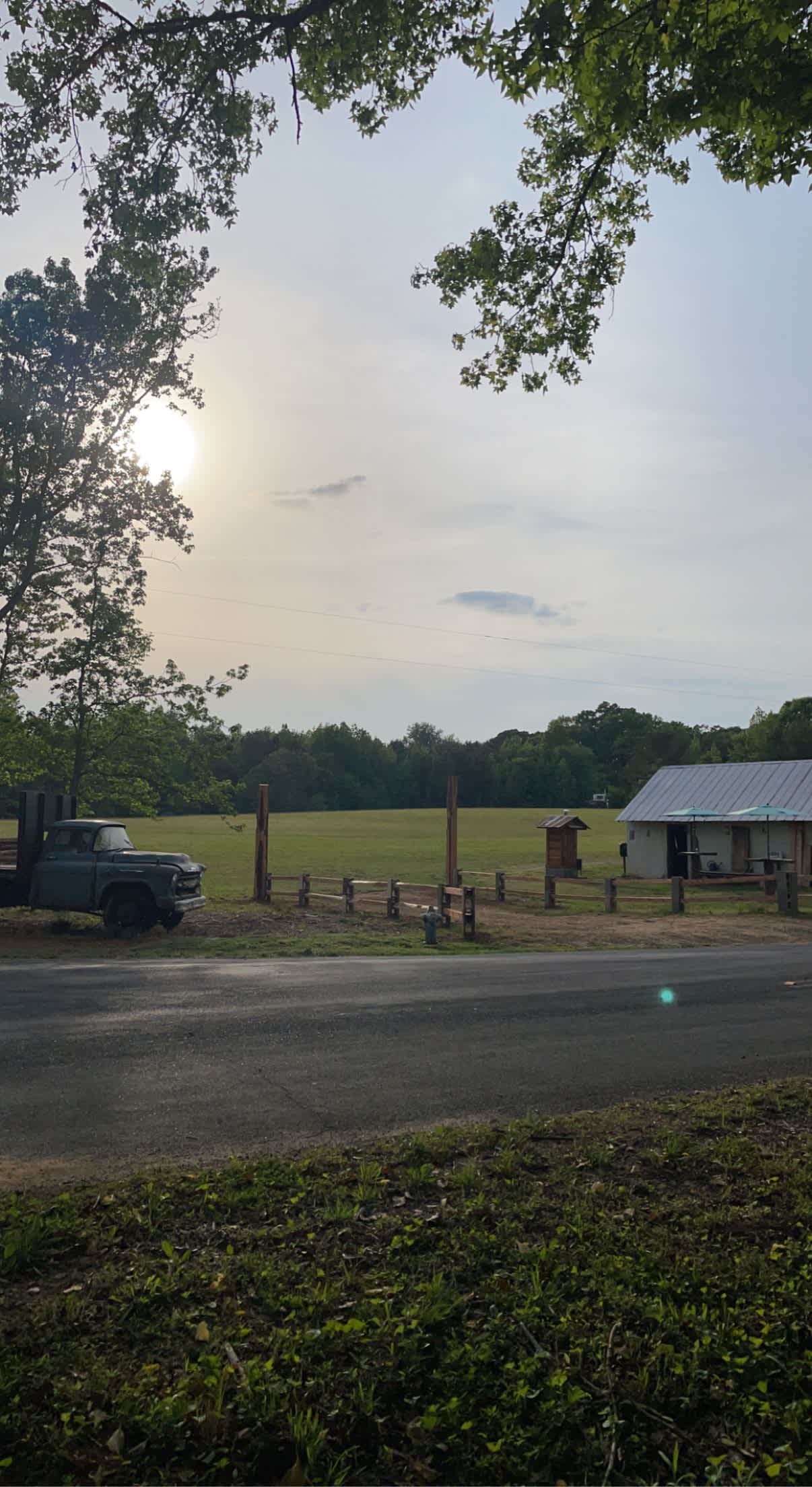 Lucky Farms Under the Stars