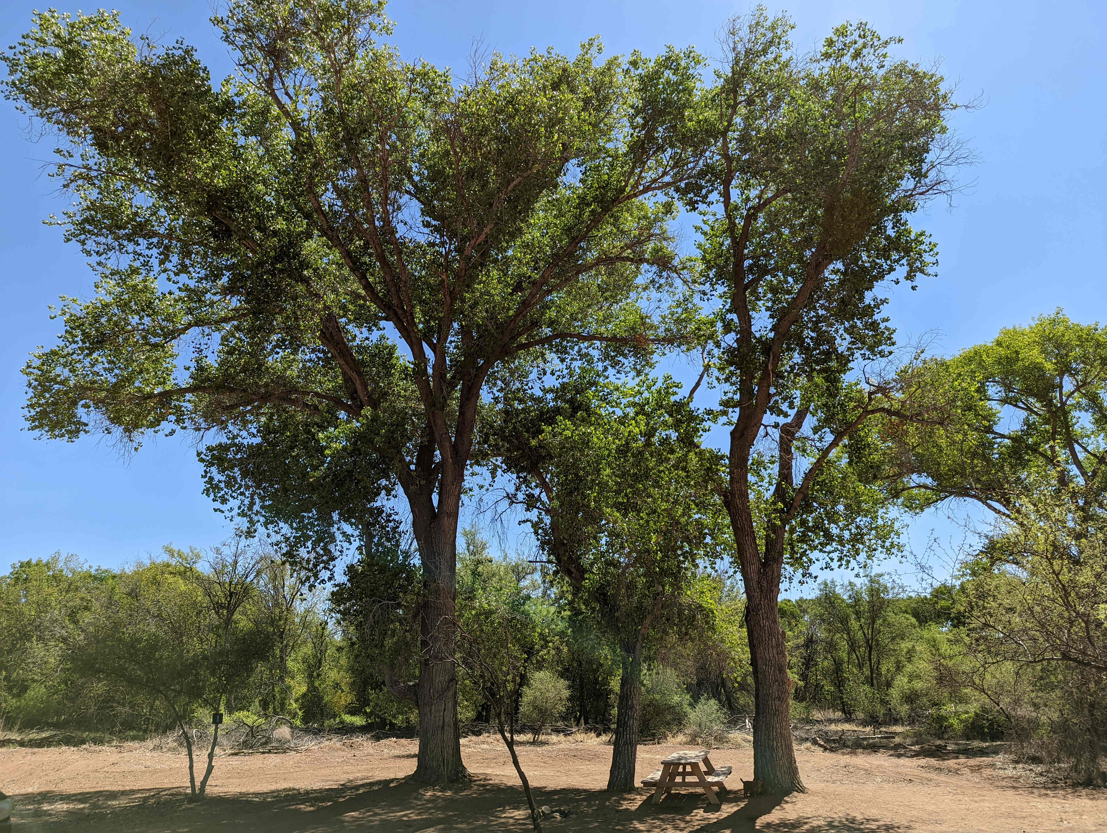 Hawks Hideaway Camping, LLC