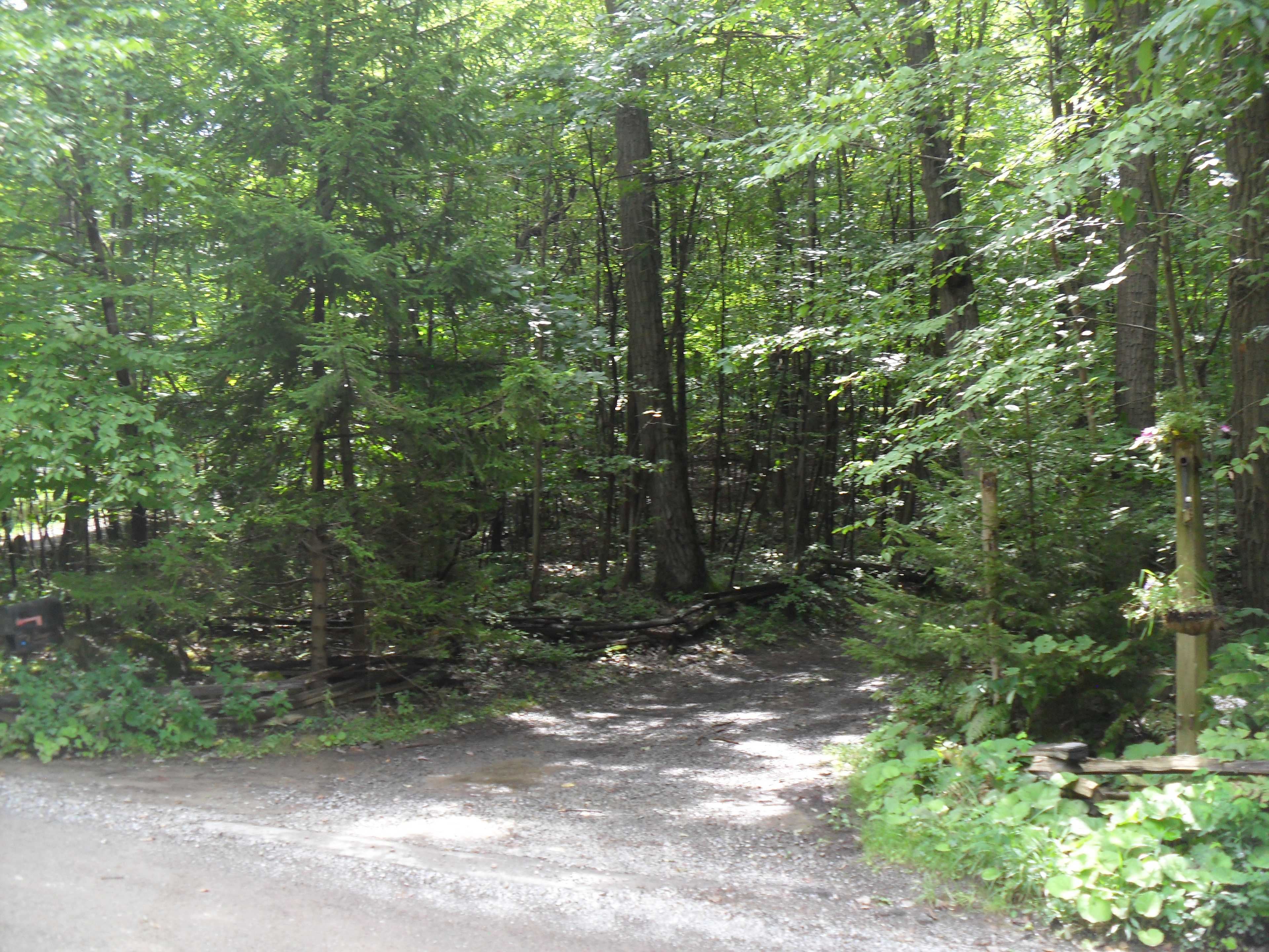 Hog Wild Farm