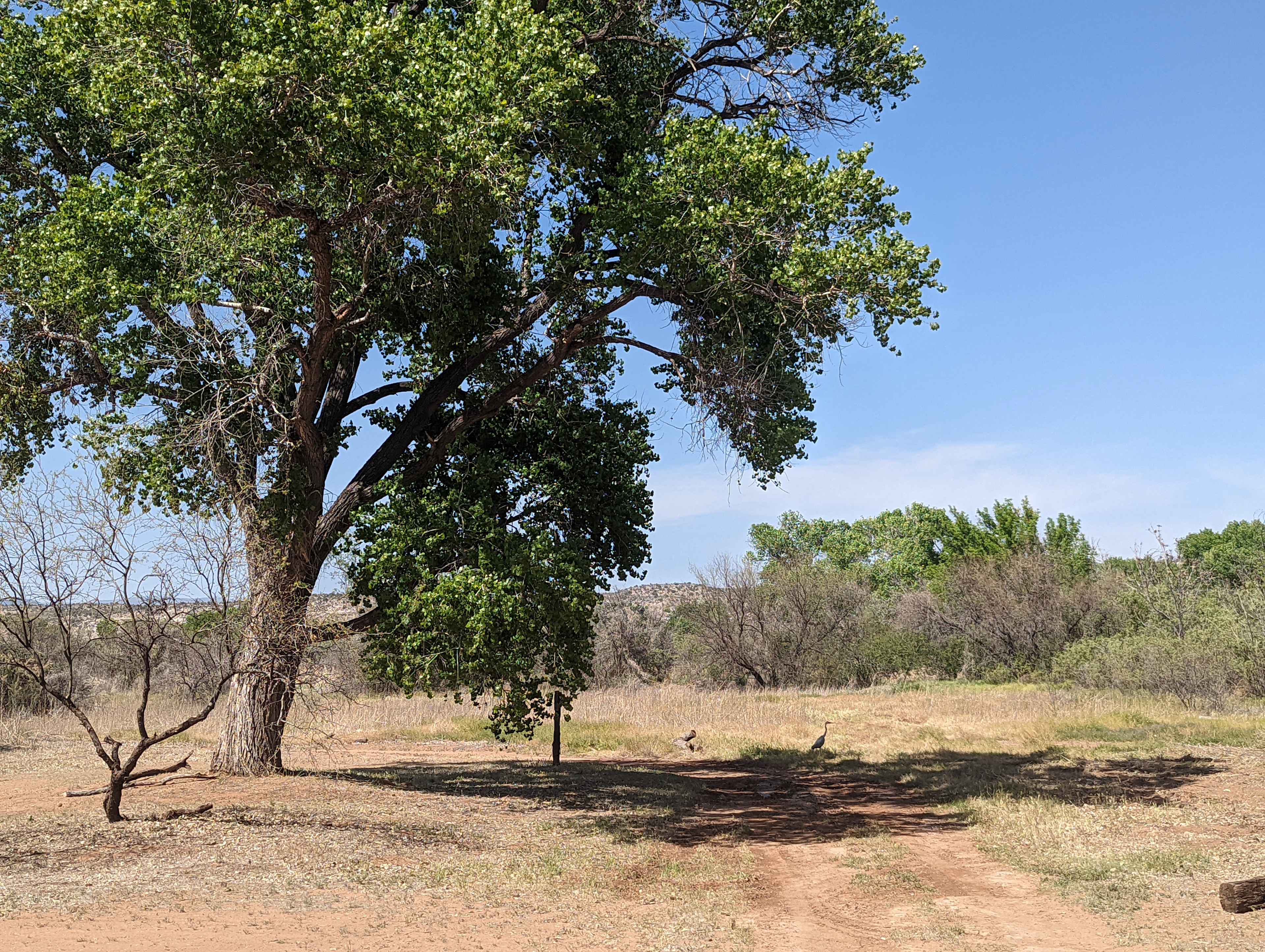 Hawks Hideaway Camping, LLC
