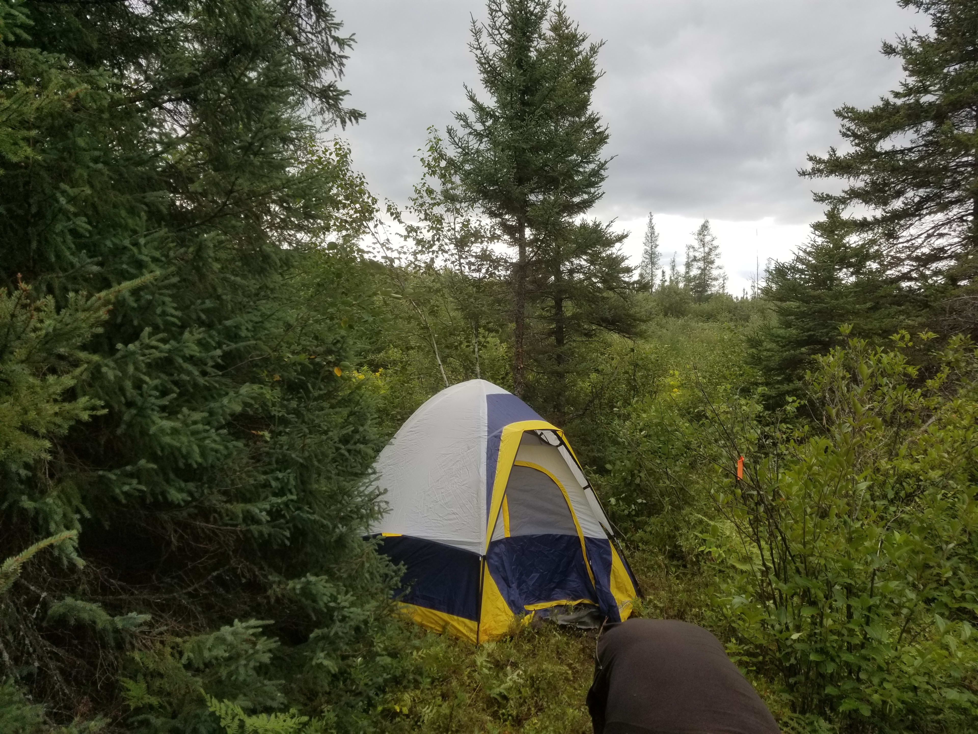 One Of the Hike-In Tent sites