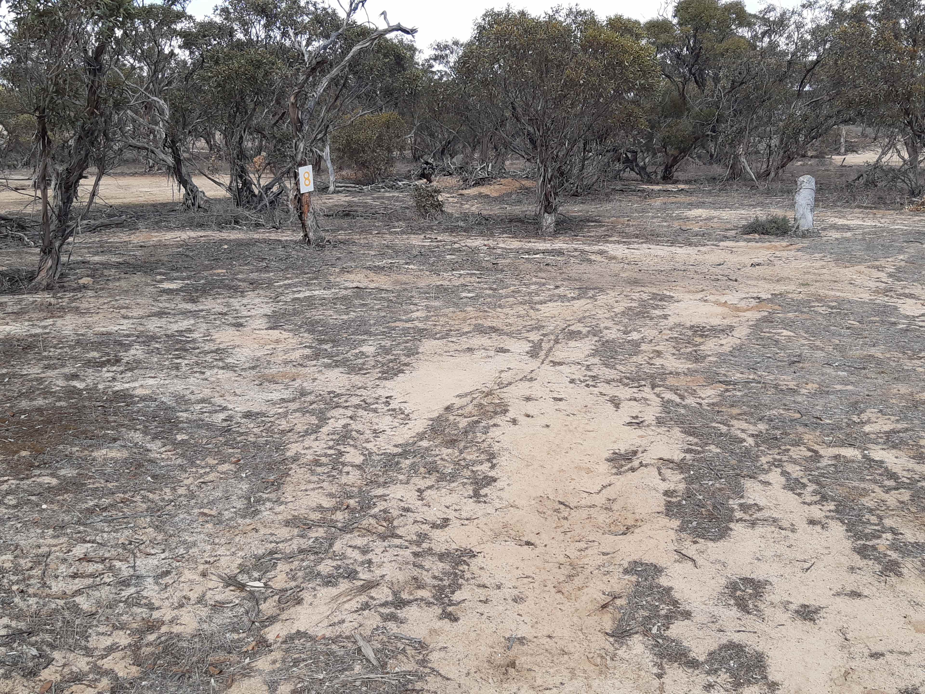 Currawong Corner - Vans, RV & tents