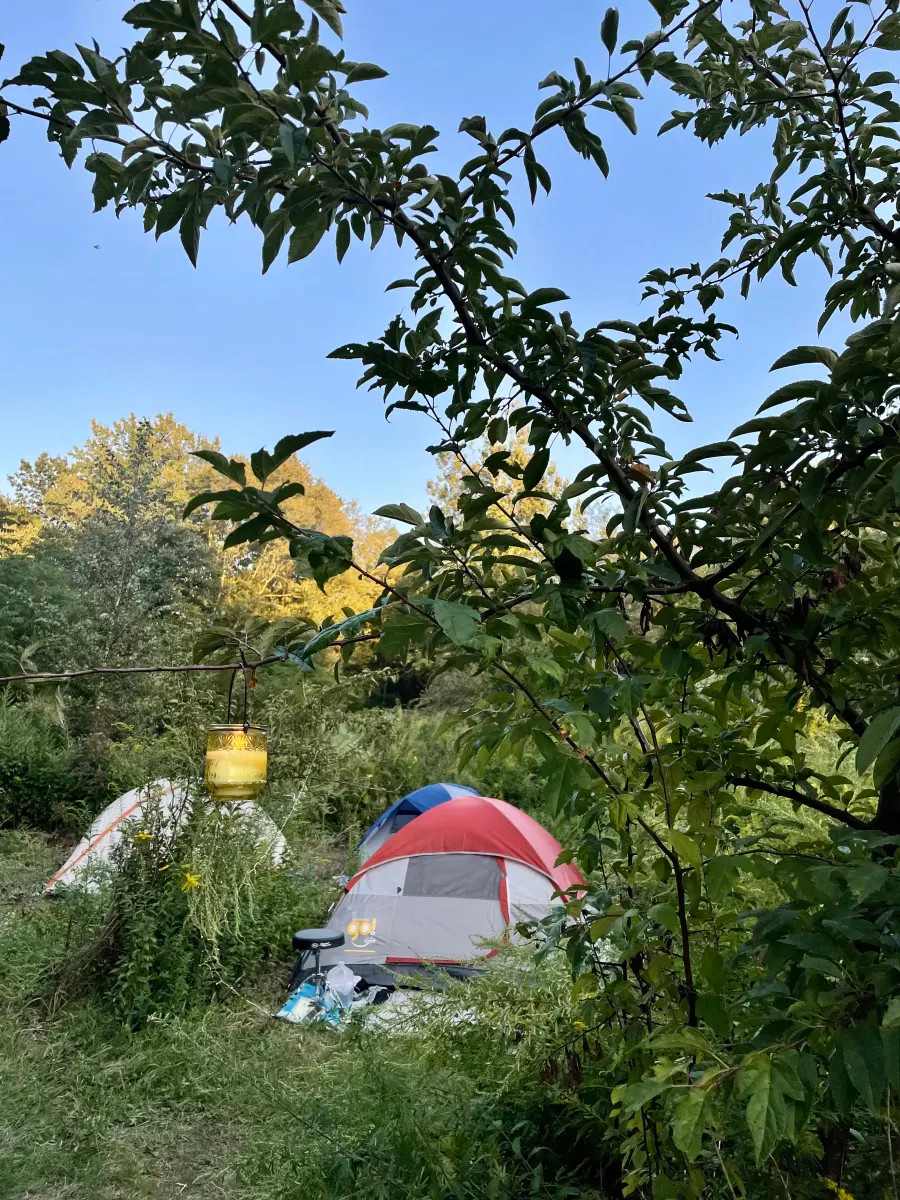 Ugly Apple Farms