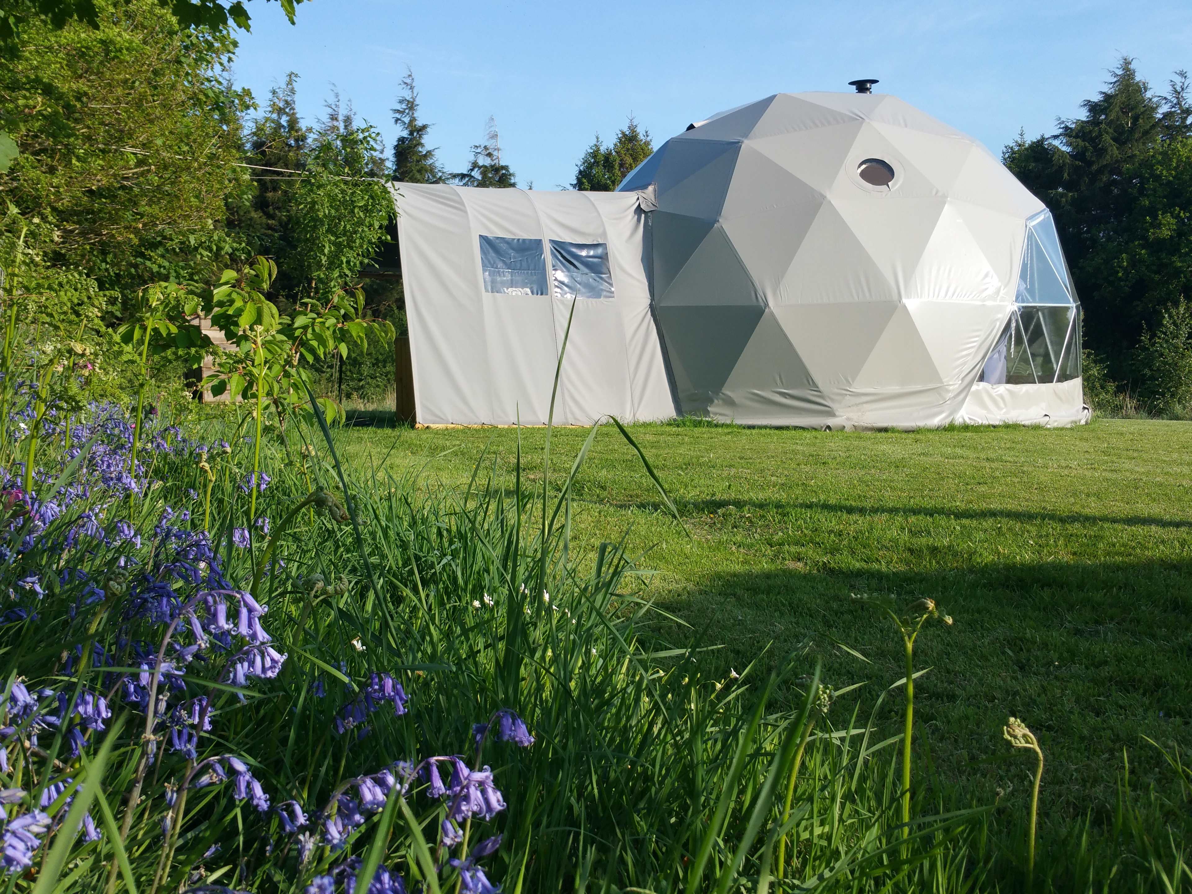 Our Nature Domes are set in their own wildflower meadows with stunning views of the Pembrokeshire National Park