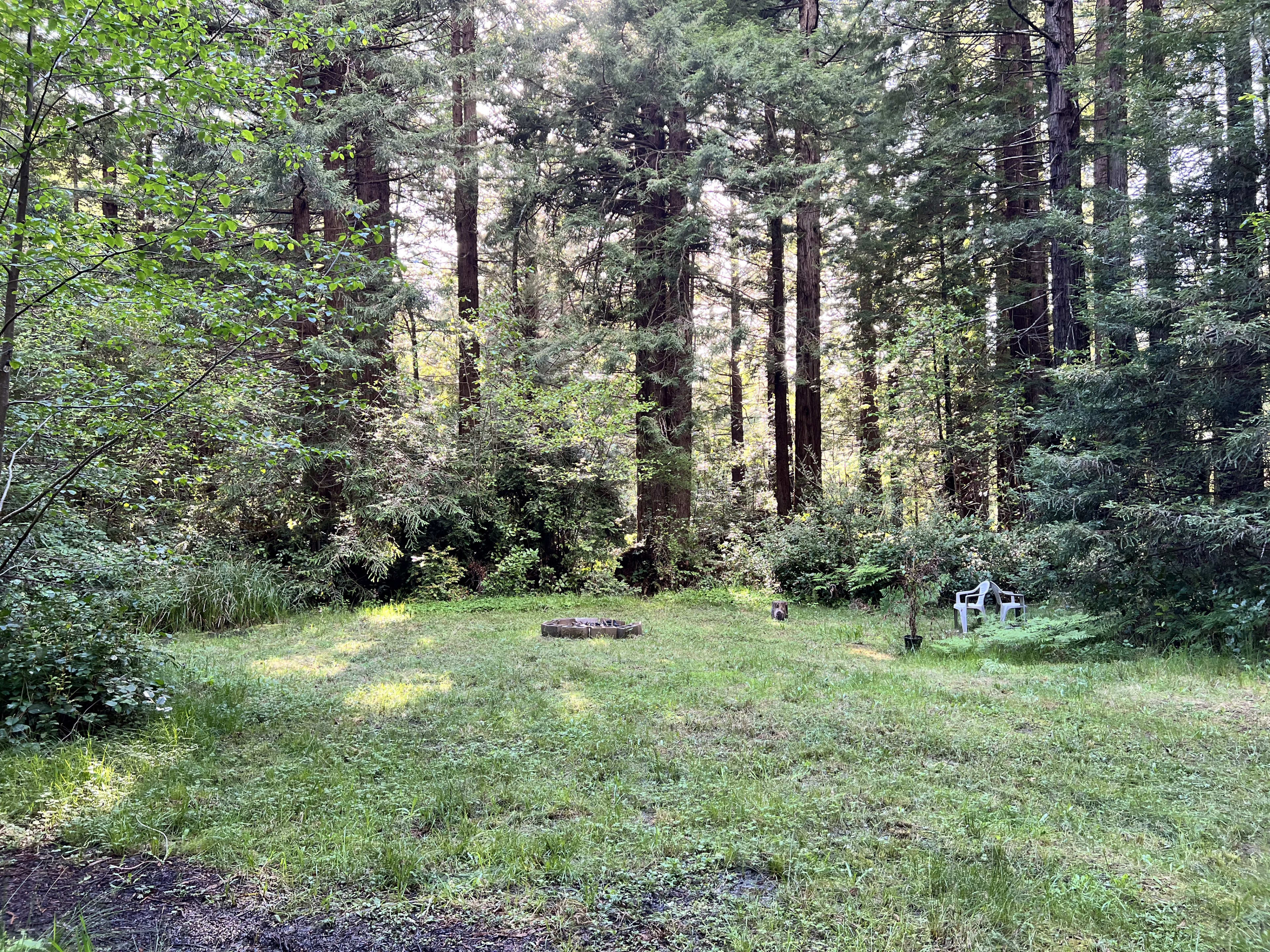 Here's where the fire pit is, and where I would set up my tent if I was camping here. You're surrounded by tall trees in this spot