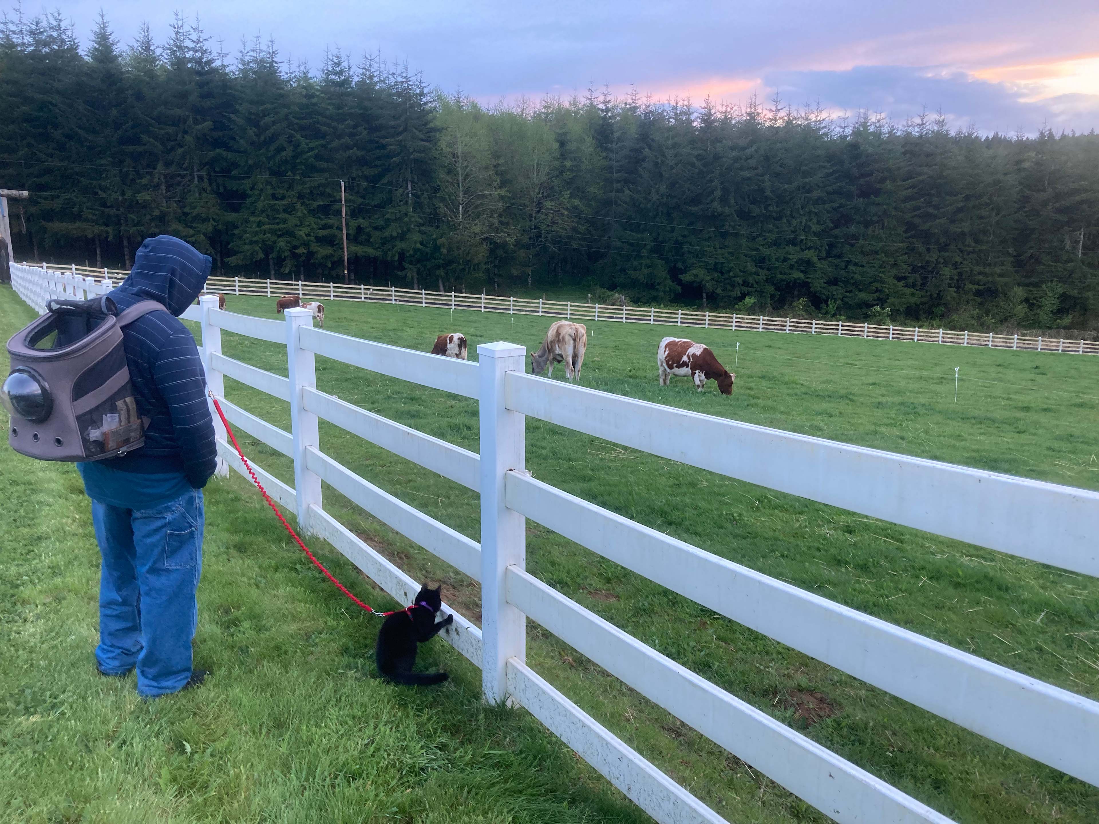 HolisticLifeFarm Clatskanie OR