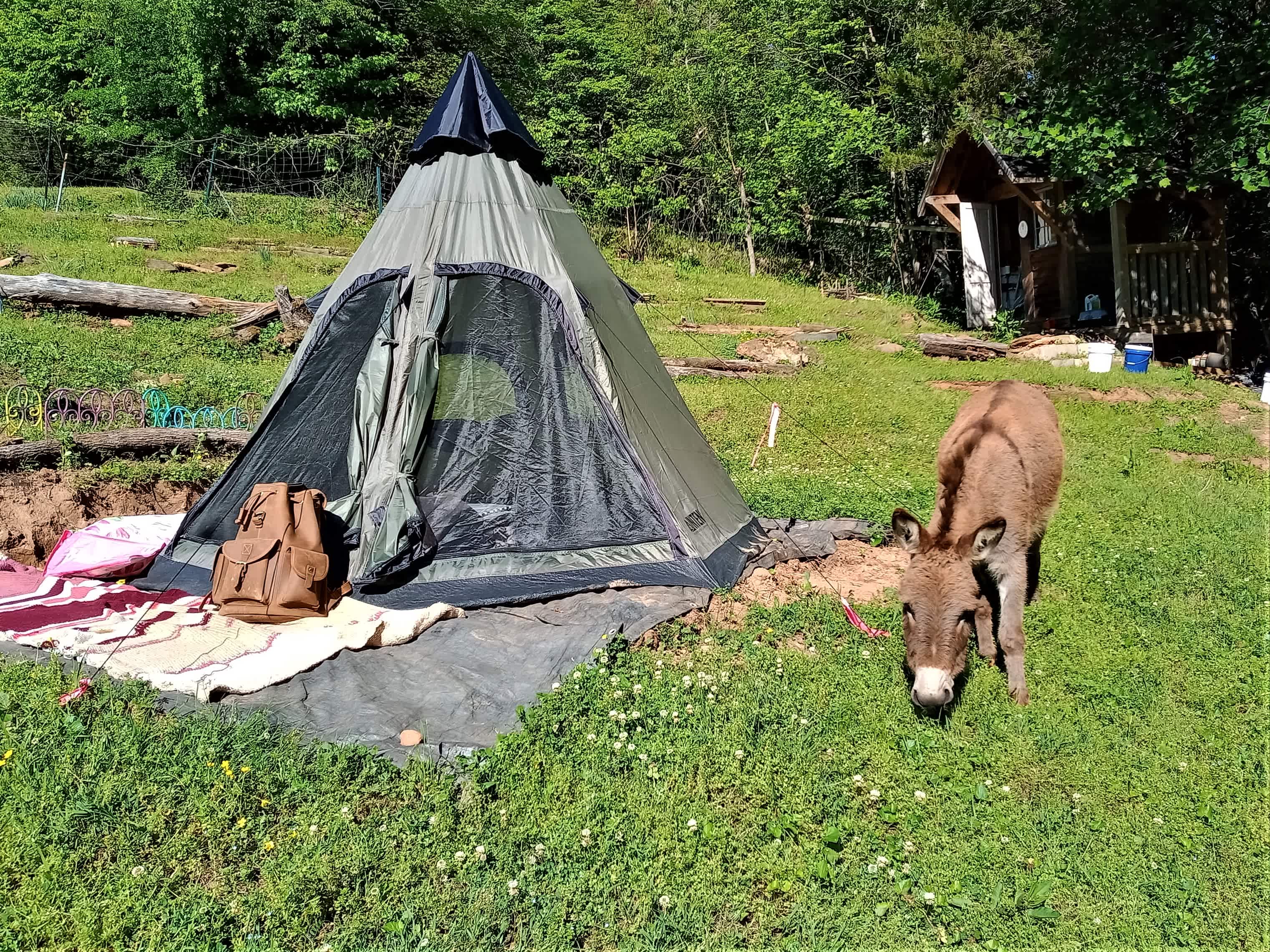 Babbling Brook Campground