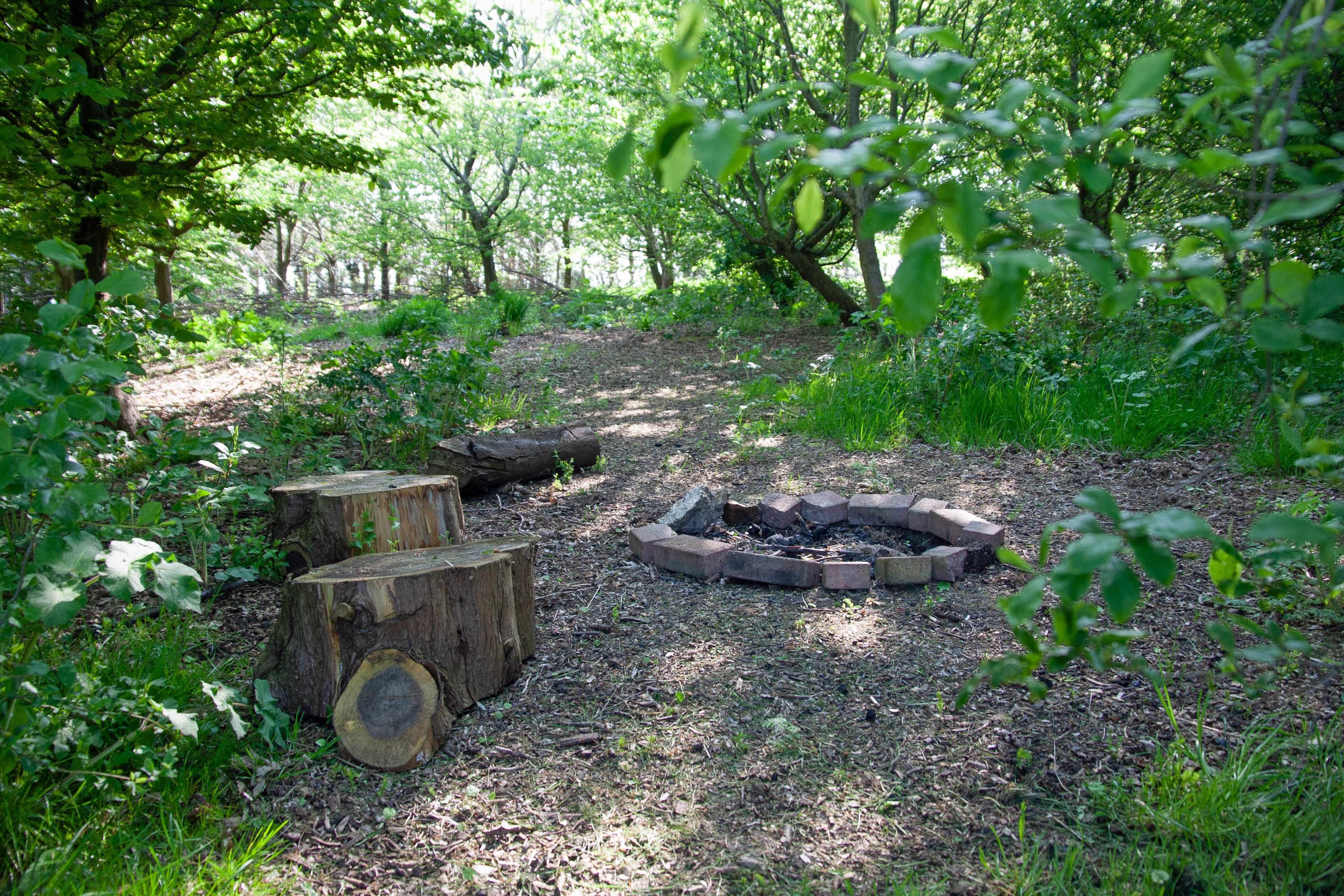 April 2022 fire pit with tent space in the trees behind