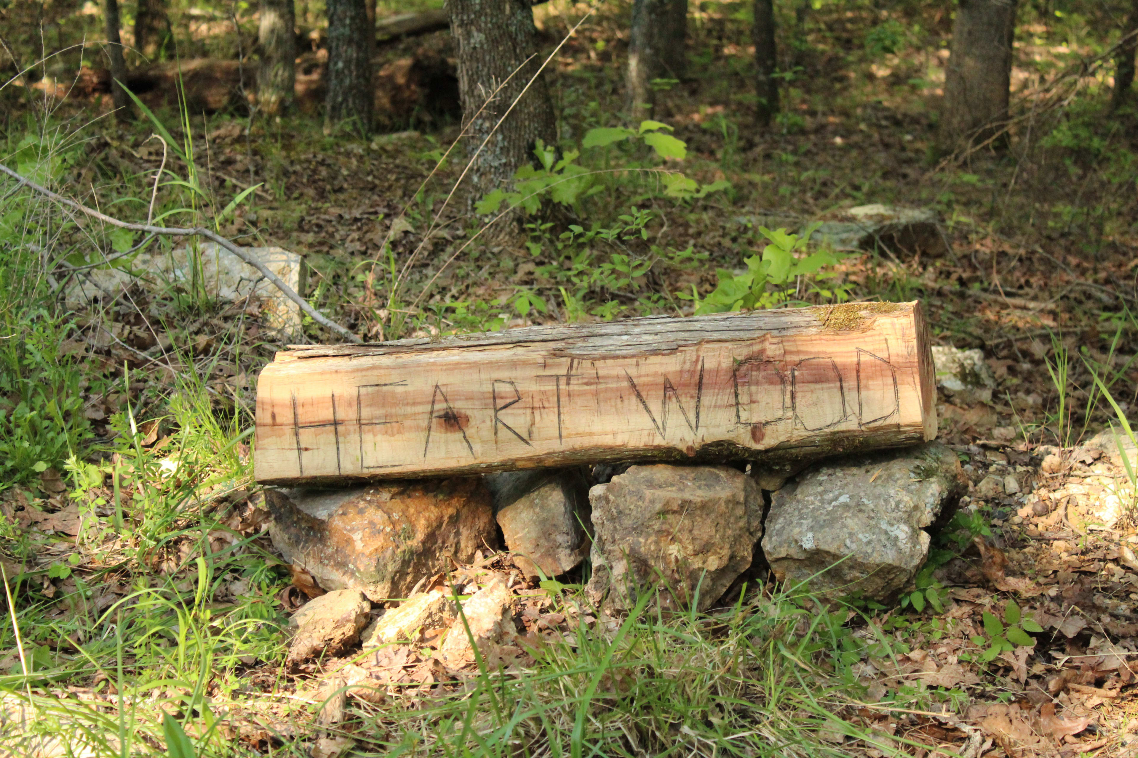Our kids made a little sign for the Southwest corner of the property.  