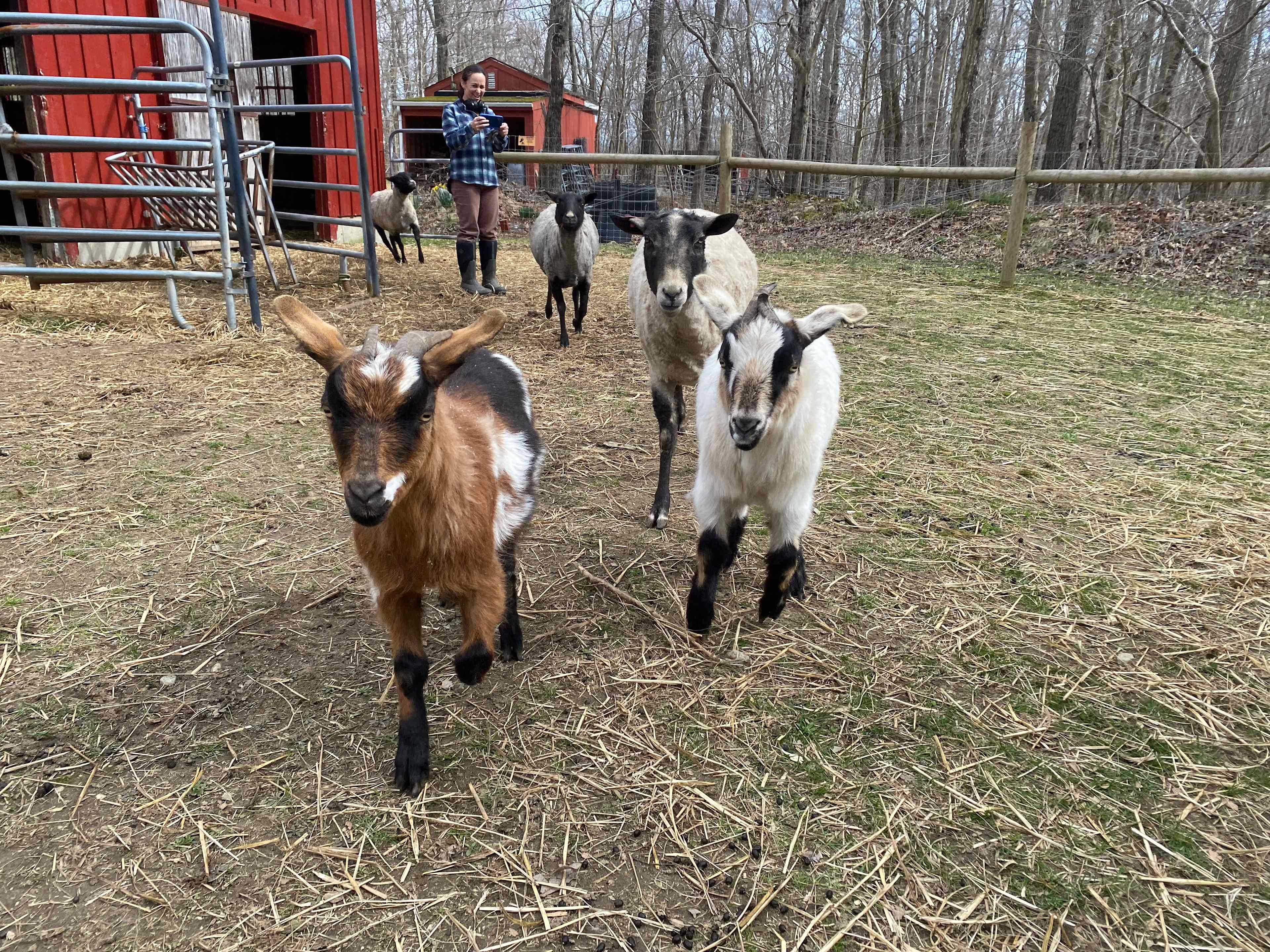 Blackburn Farm