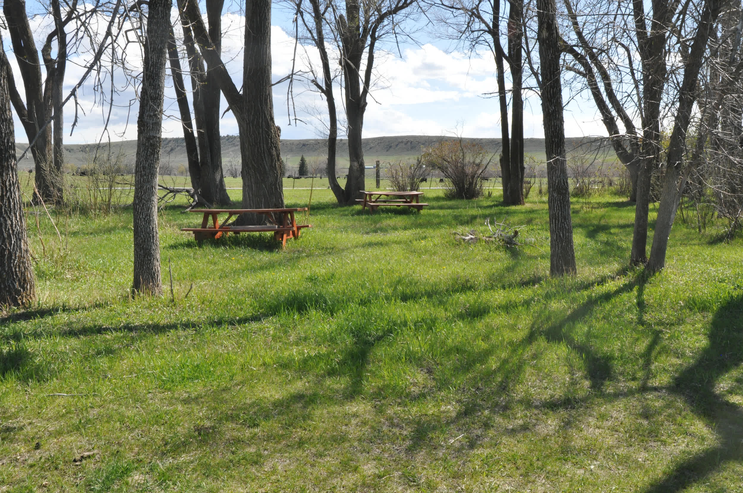 Cowtown Ranch