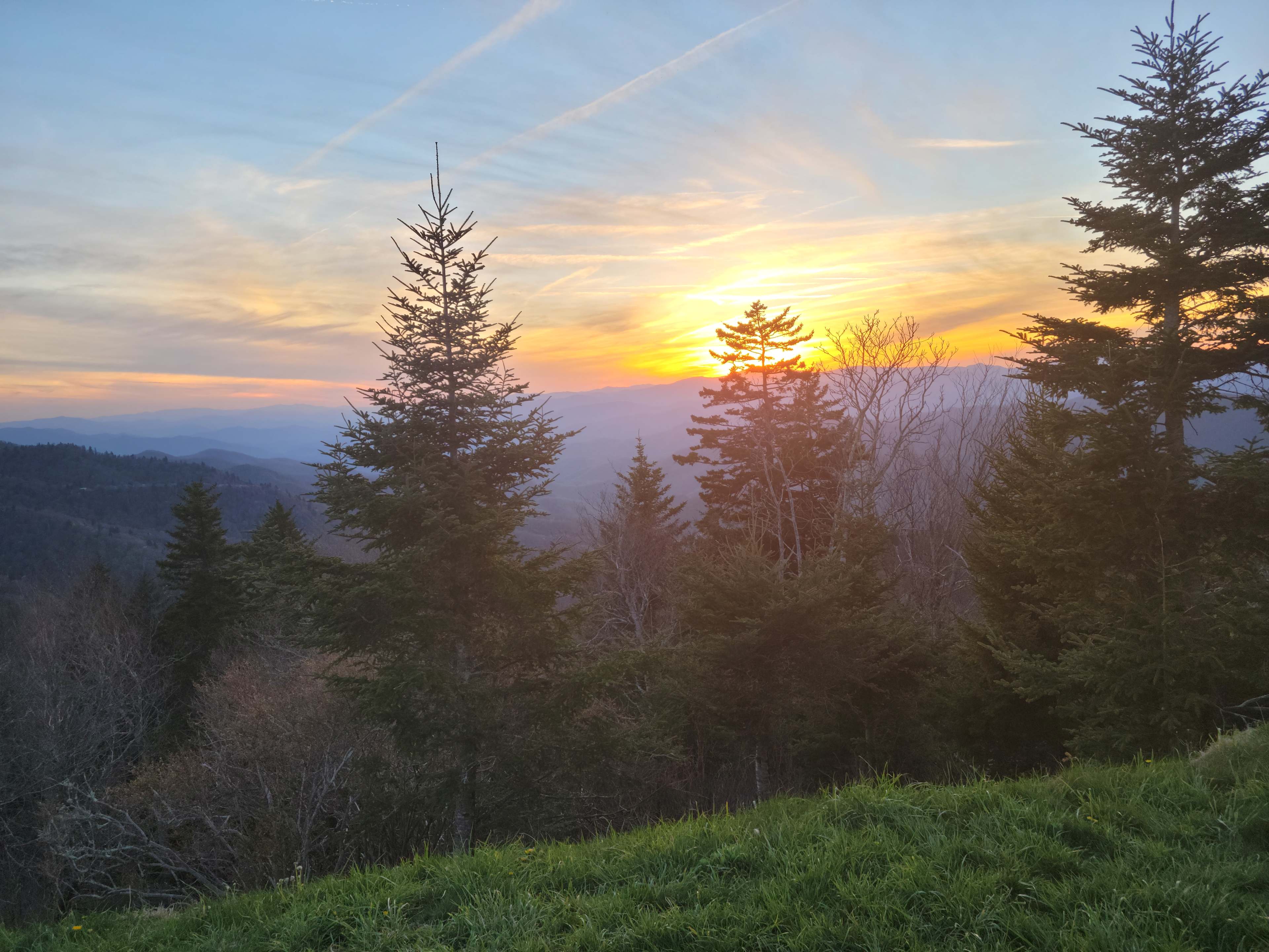 Indigo Eagle Sanctuary