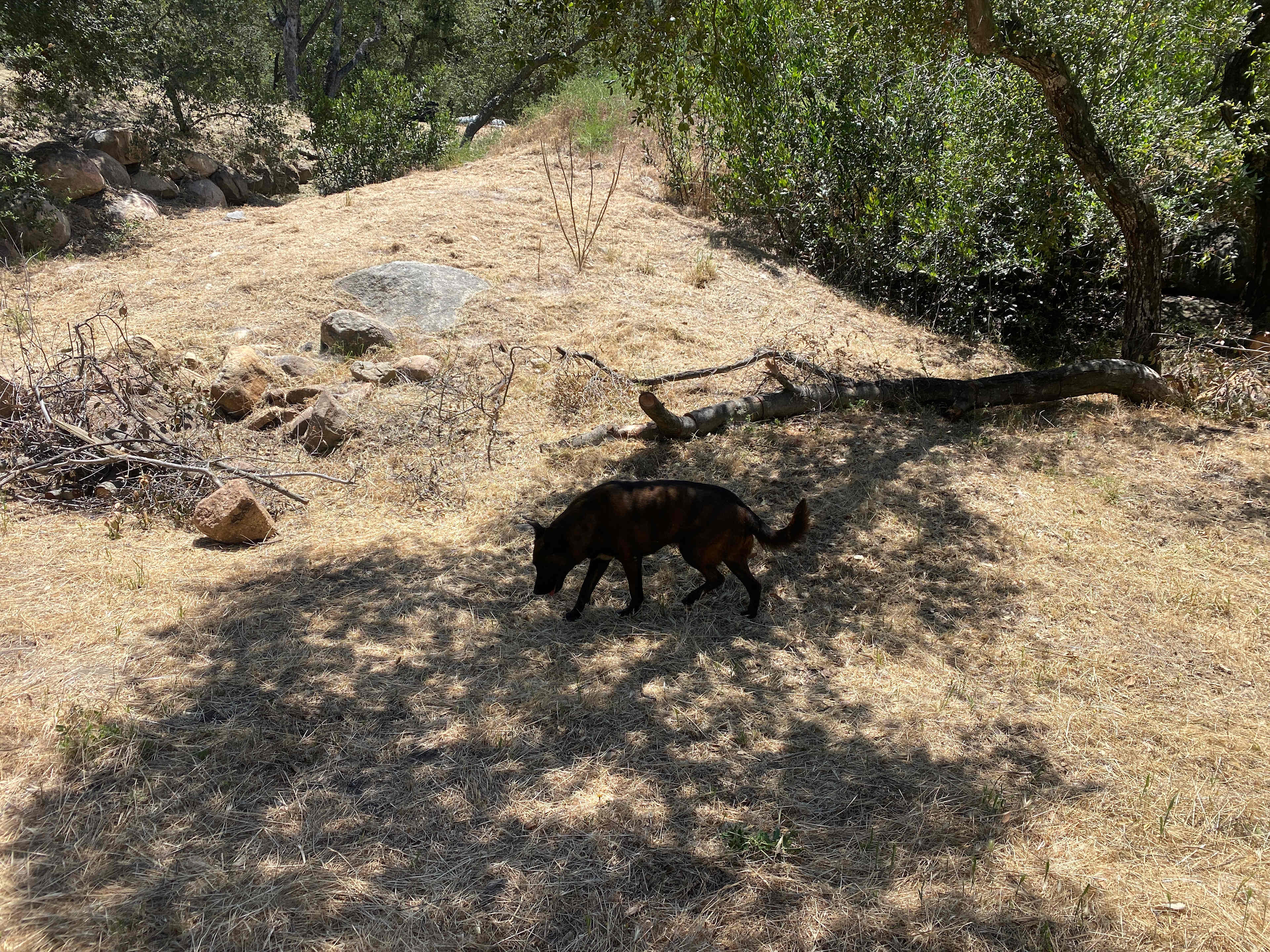 Old well ranch