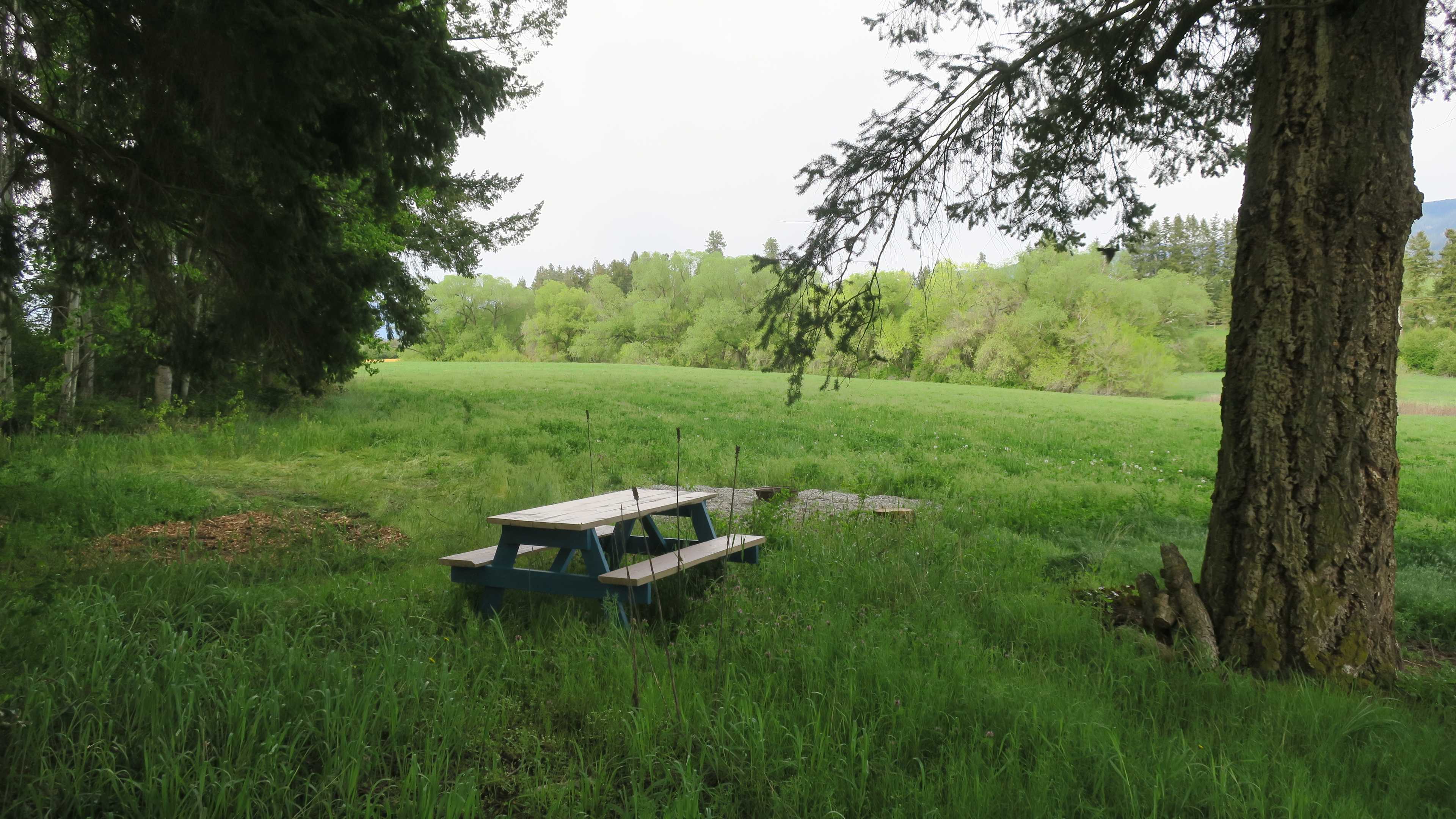 Village Hub Farm Forest Camping