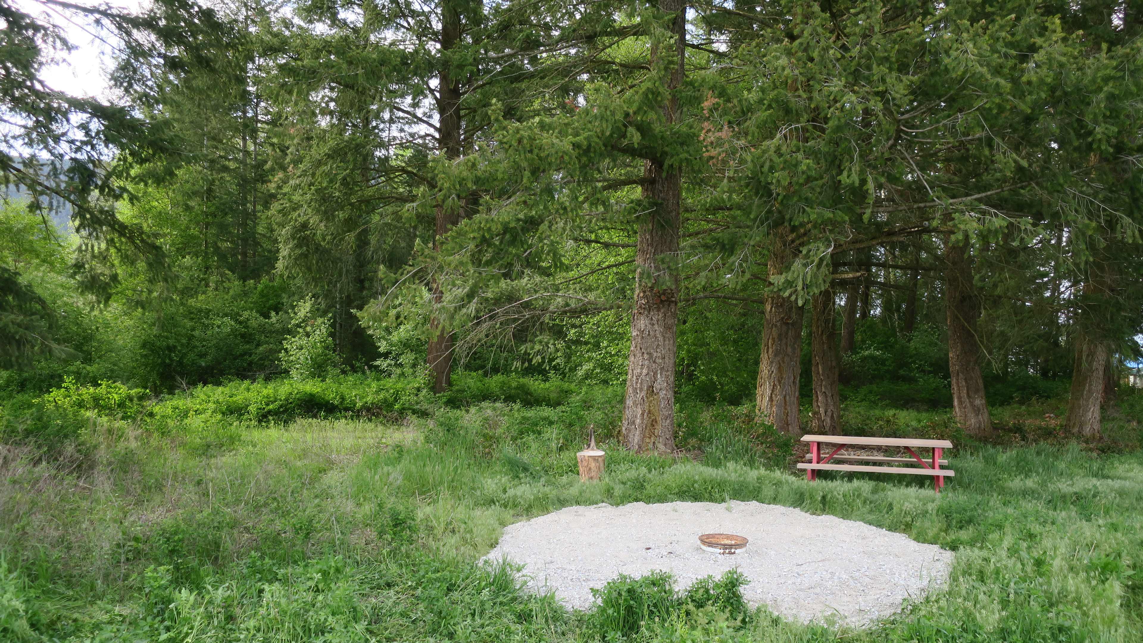 Village Hub Farm Forest Camping