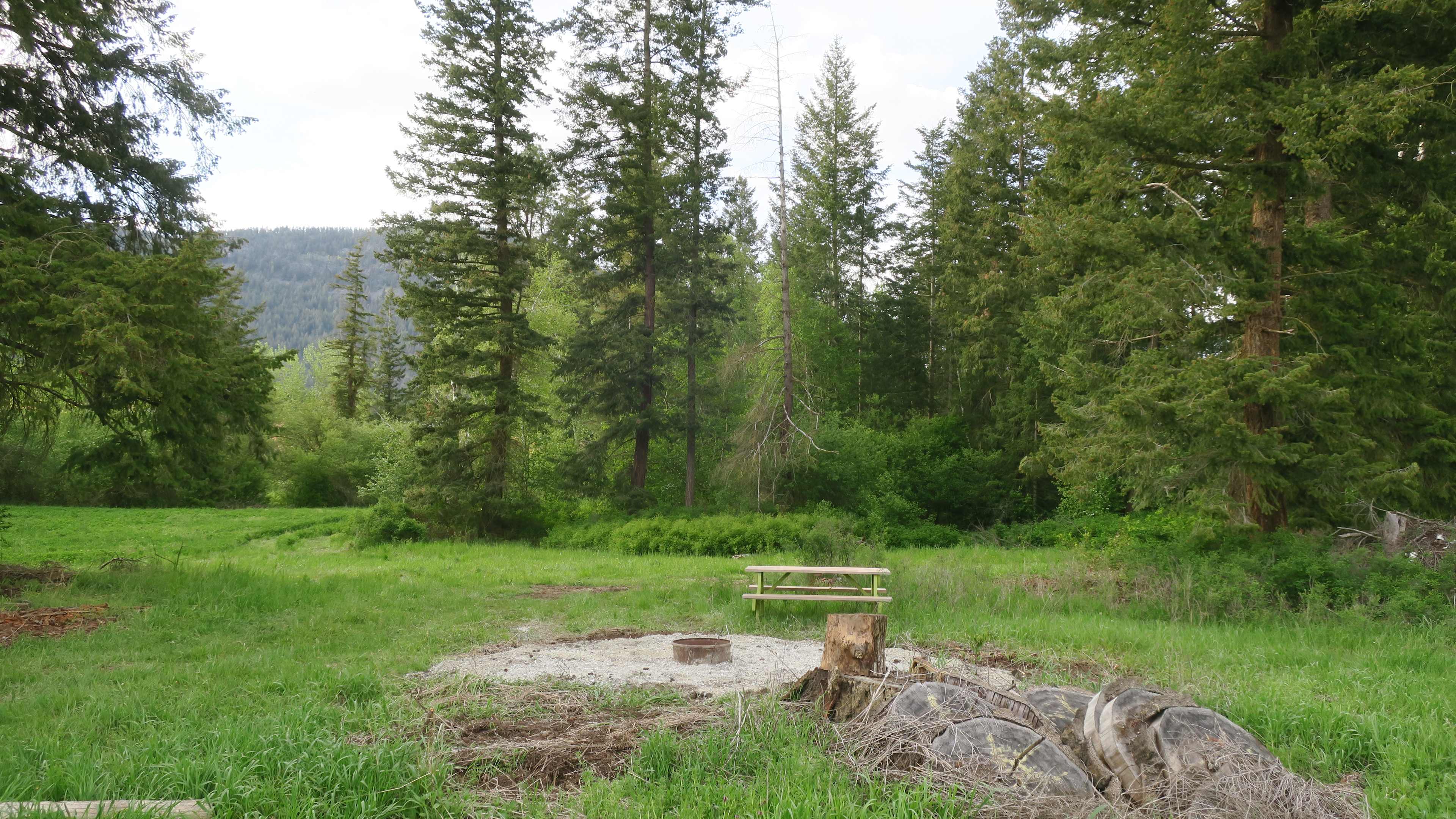 Village Hub Farm Forest Camping