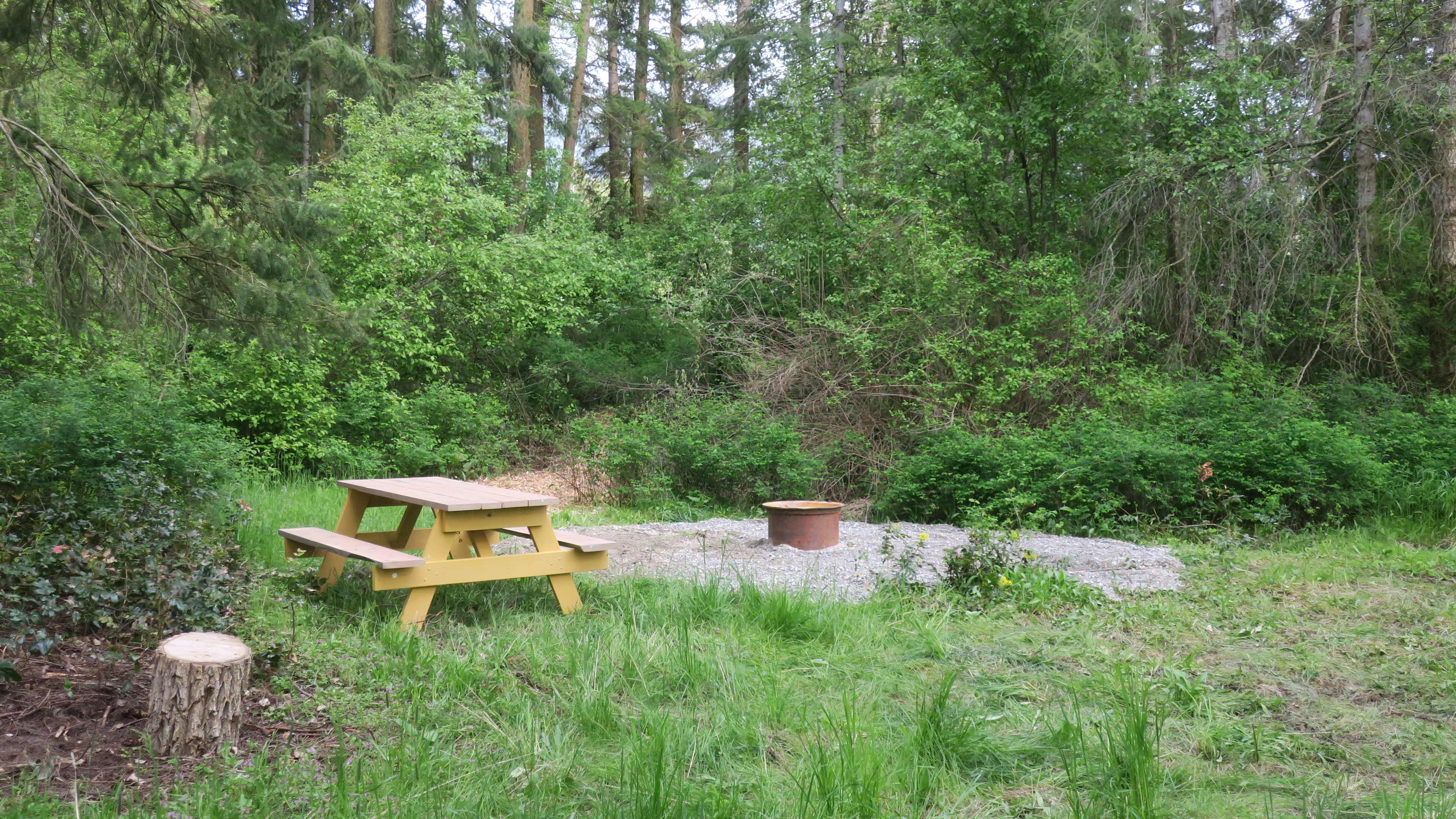 Village Hub Farm Forest Camping