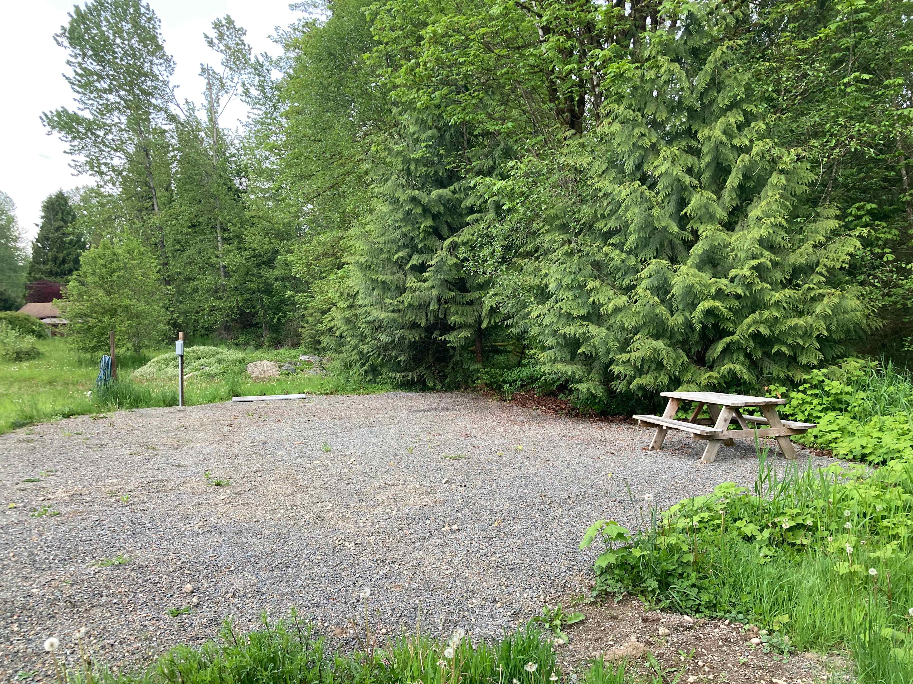 Creekside Back Pasture