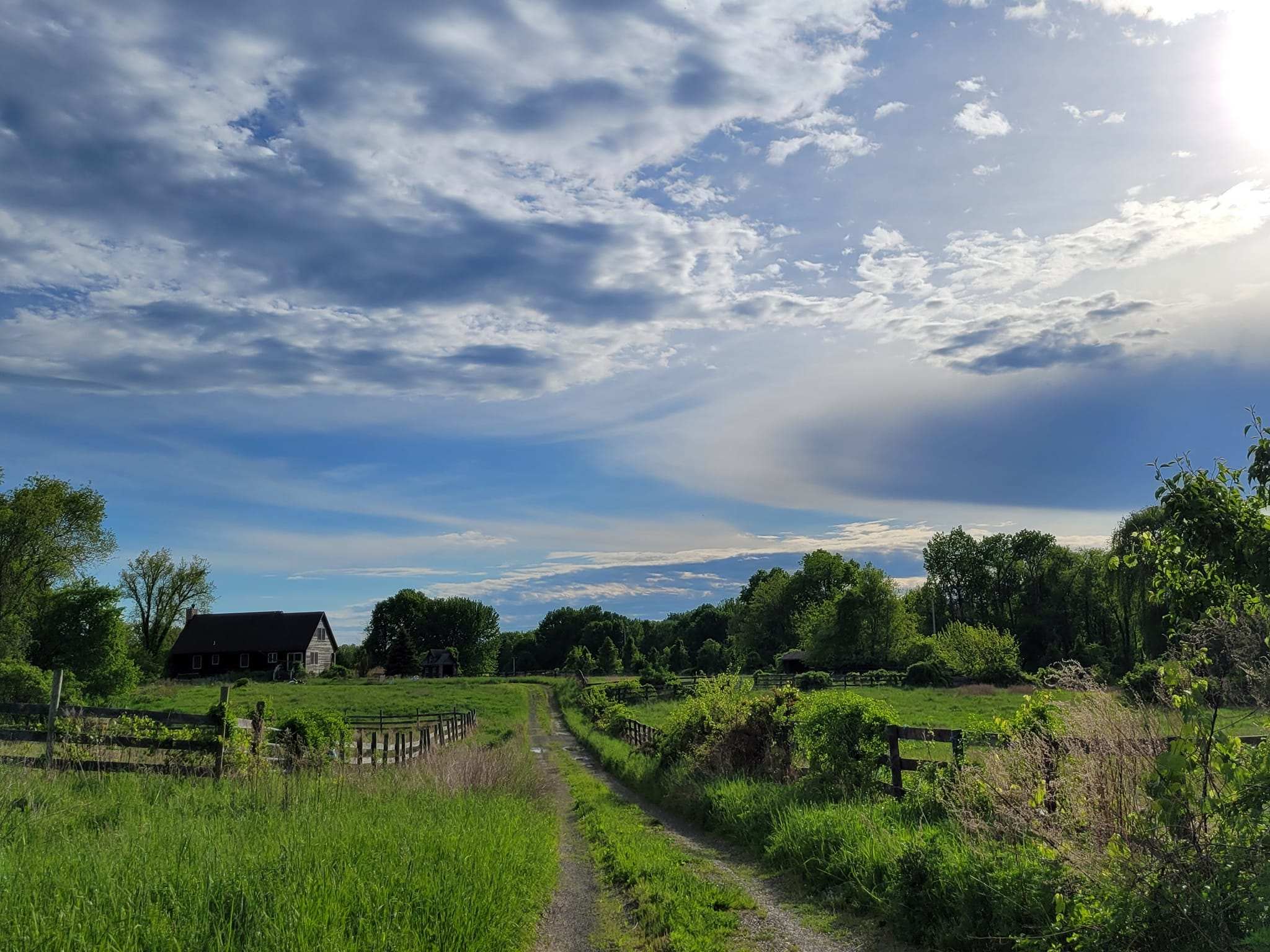 Quail Lane Farm