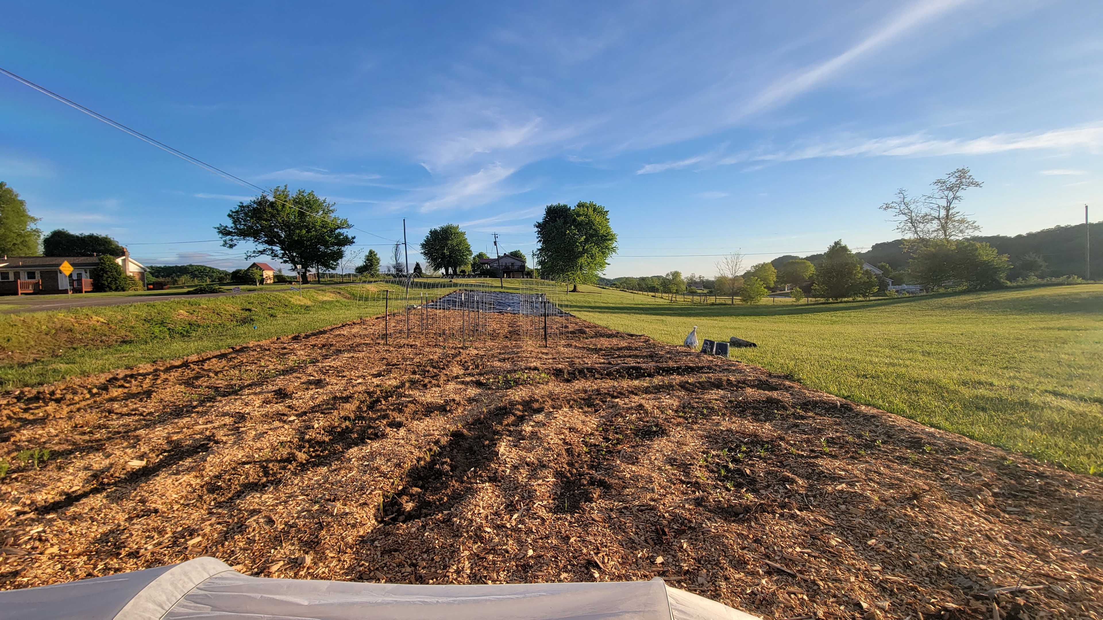 Pick-your-own garden.