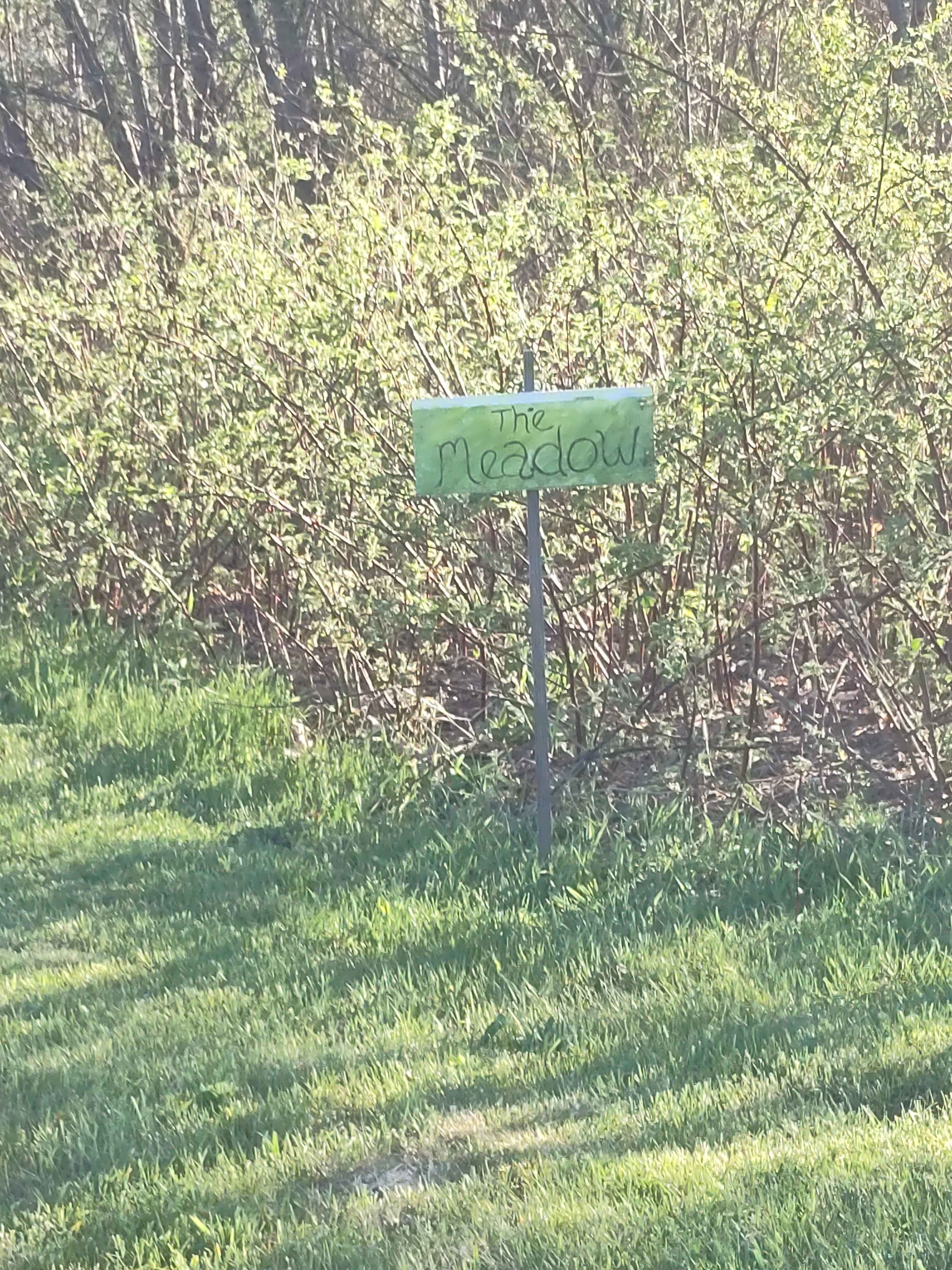 Campers Welcome to The Wolf Swamp.