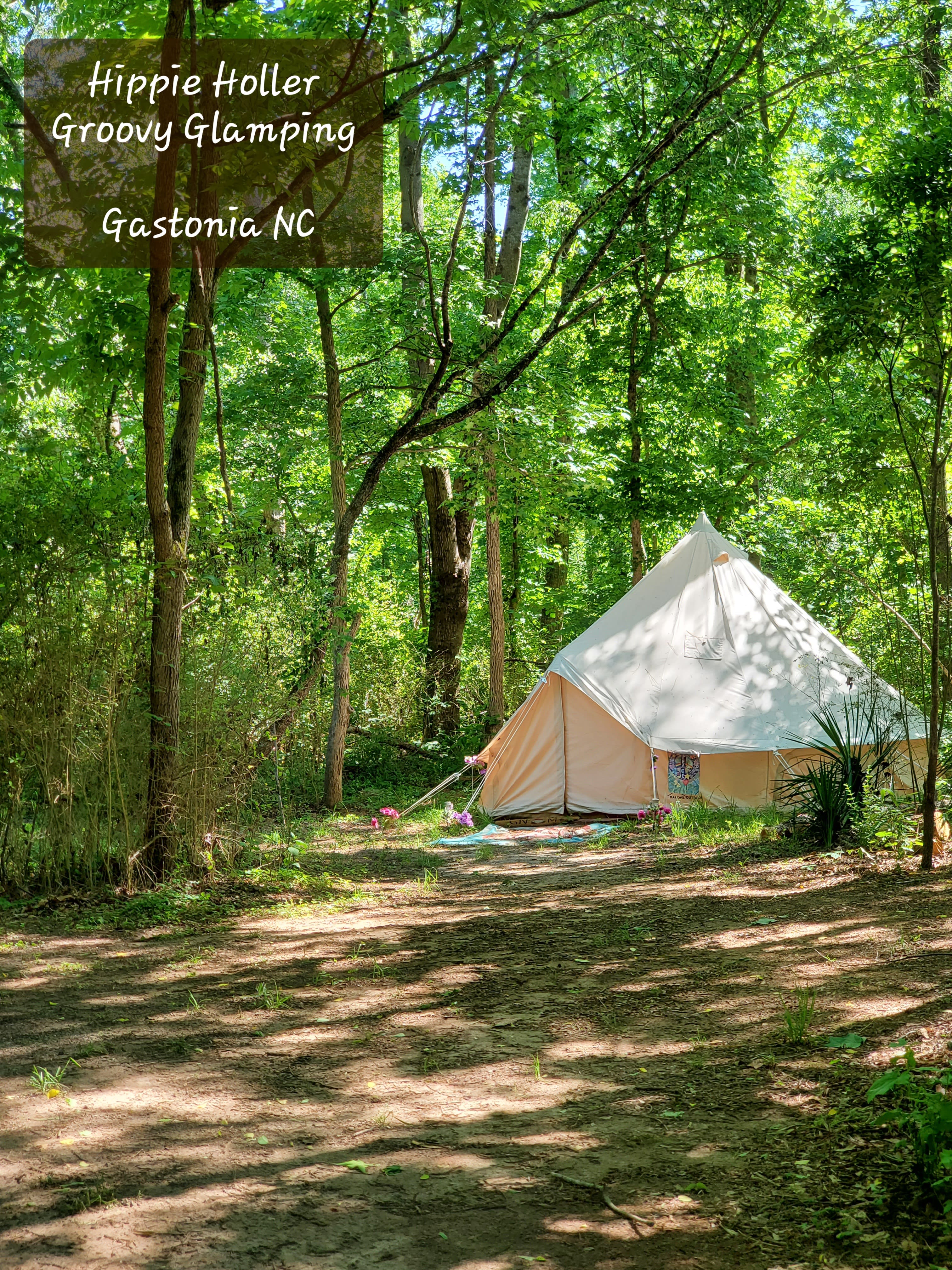 Hippie Holler Groovy Glamping