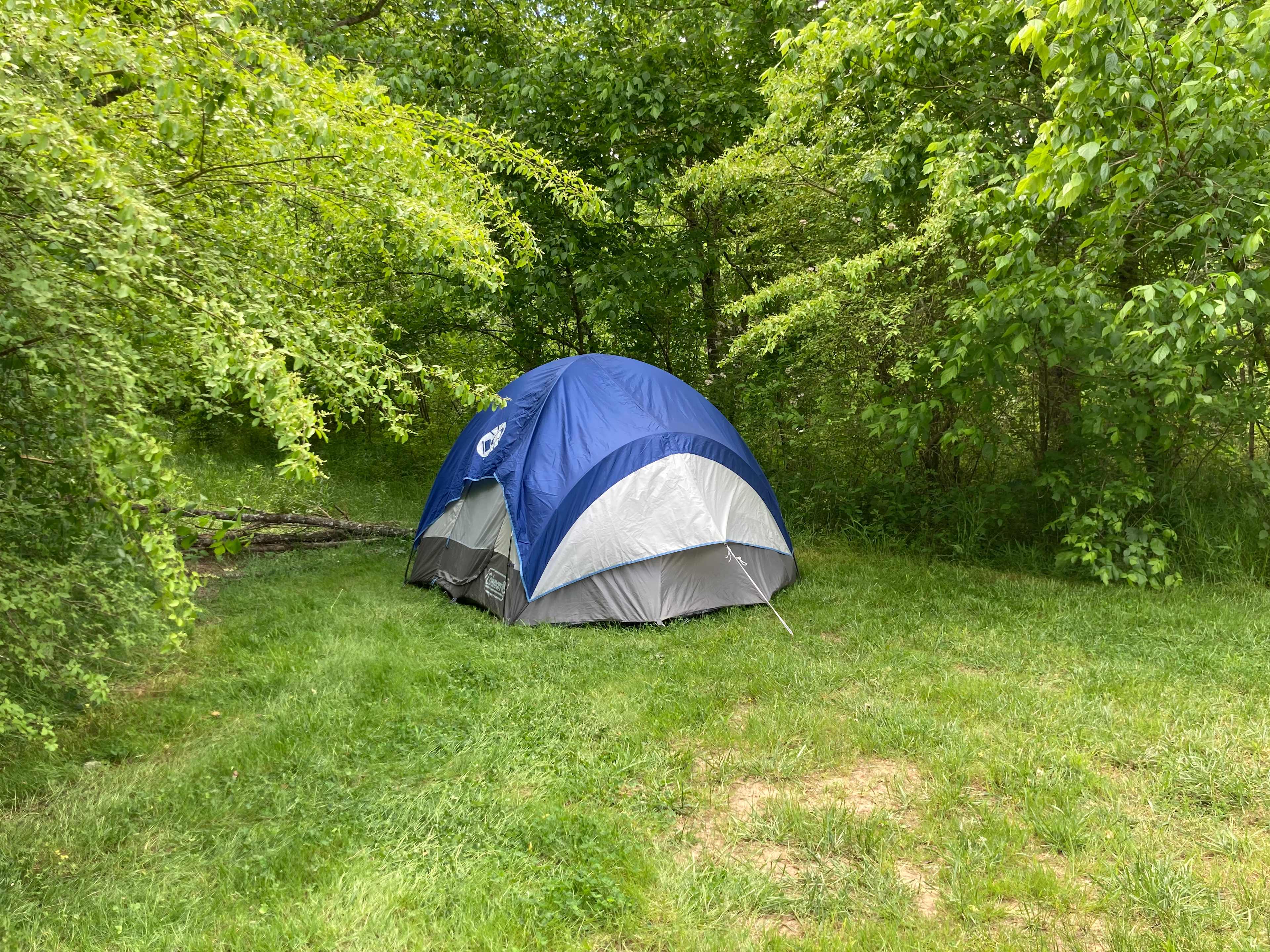 The Oasis at Harmon Creek Farms