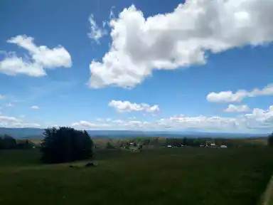 W.T. Farm?