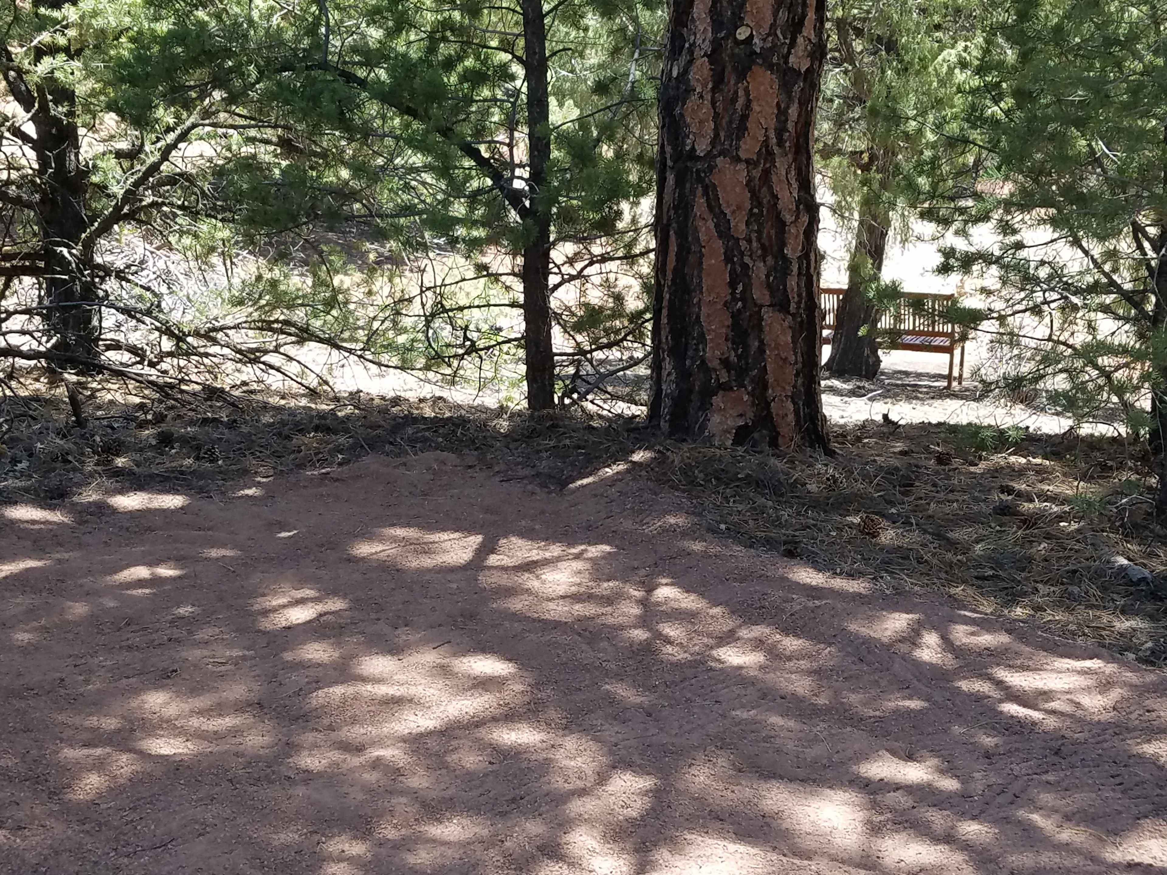 Campsite #1