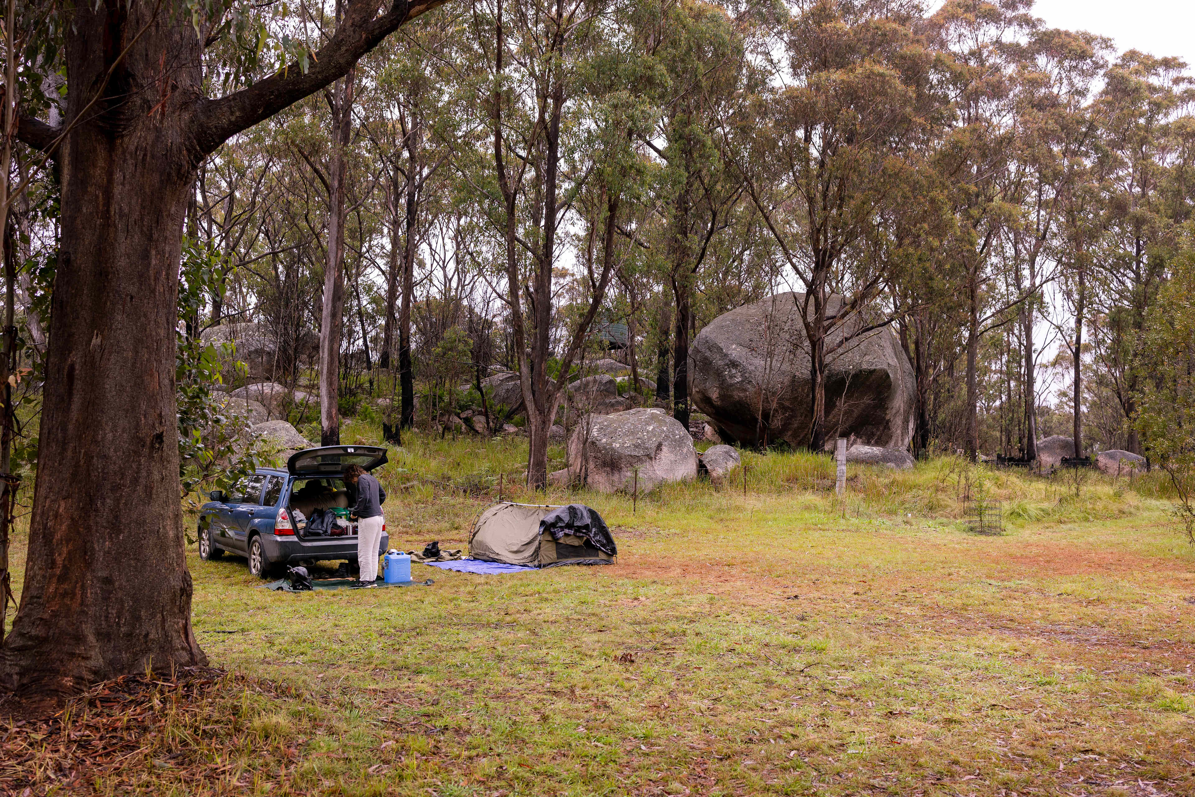 Some of many boulders around.