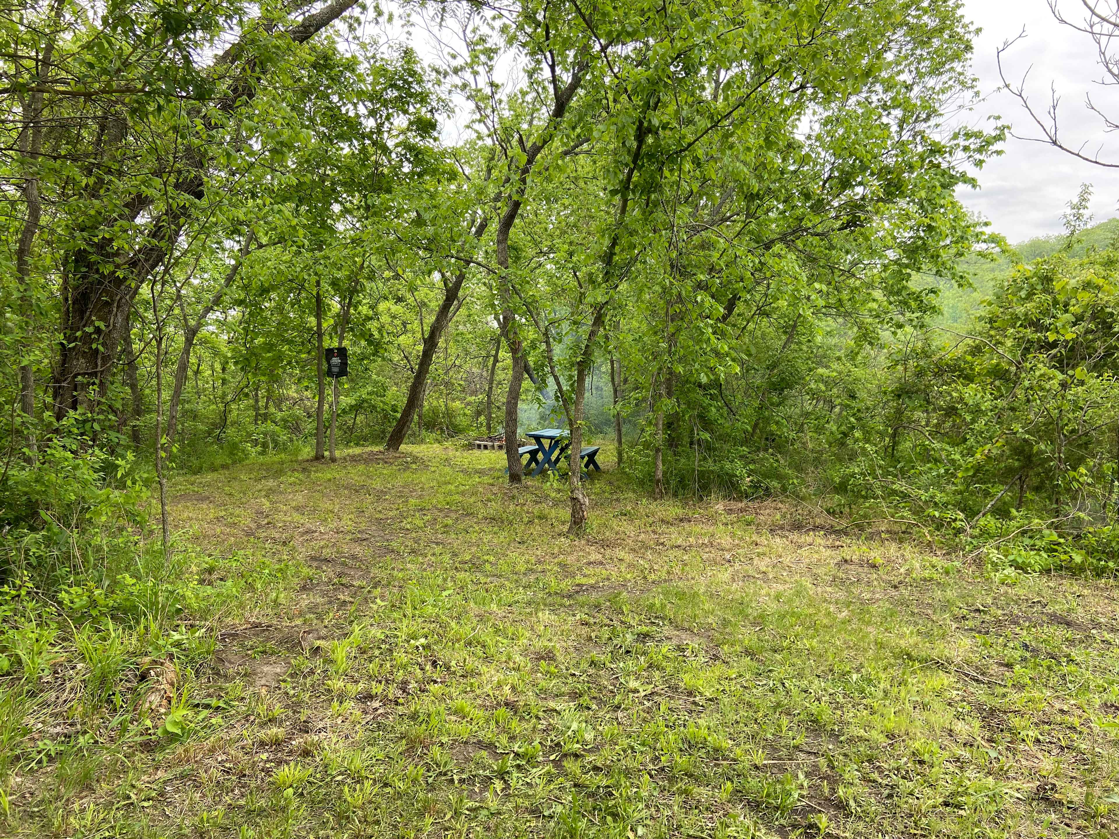 Camping shower, picnic table & fire pit for cooking or campfires. 