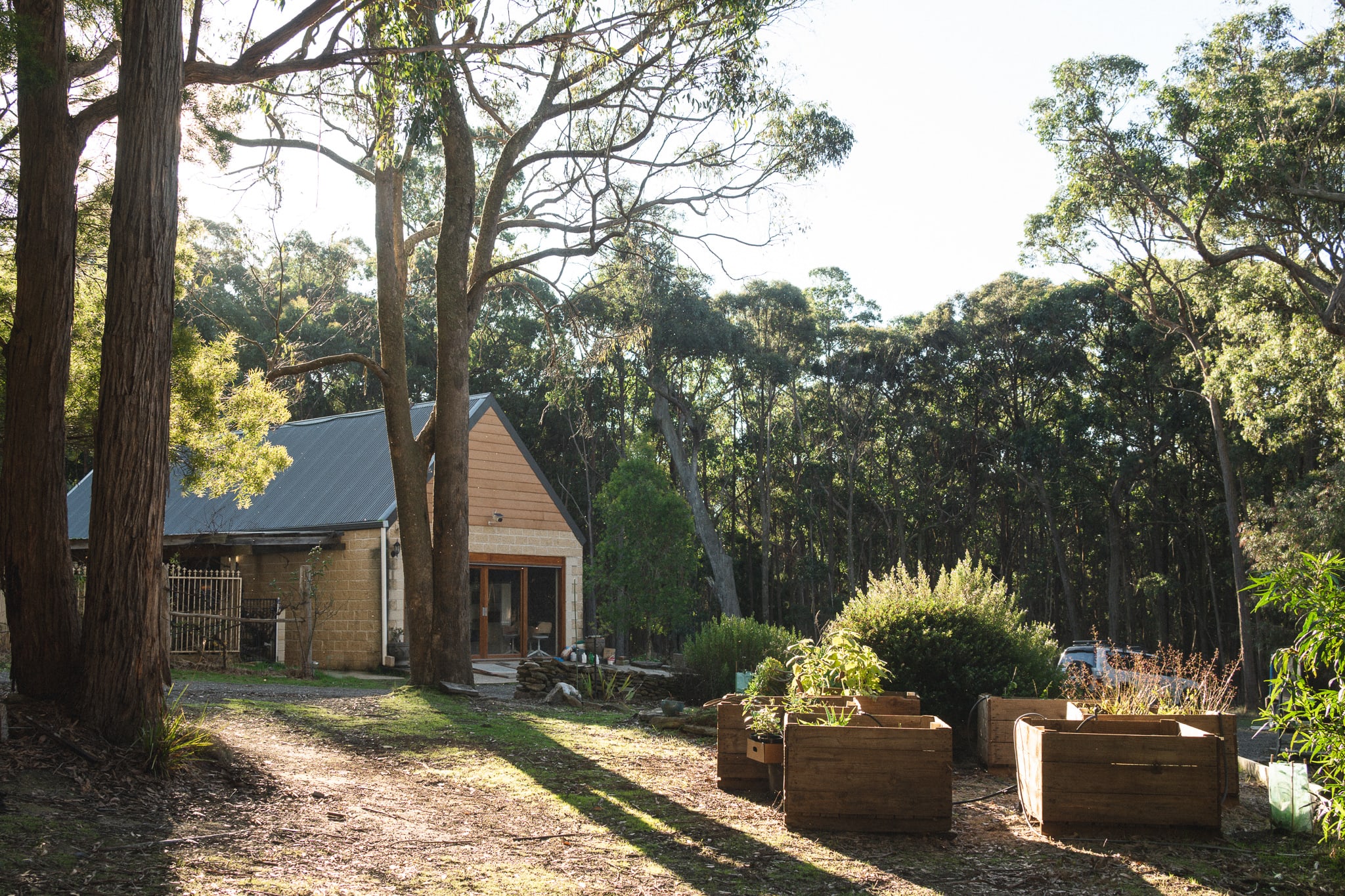 The cottage is surrounded by beautiful bushland.