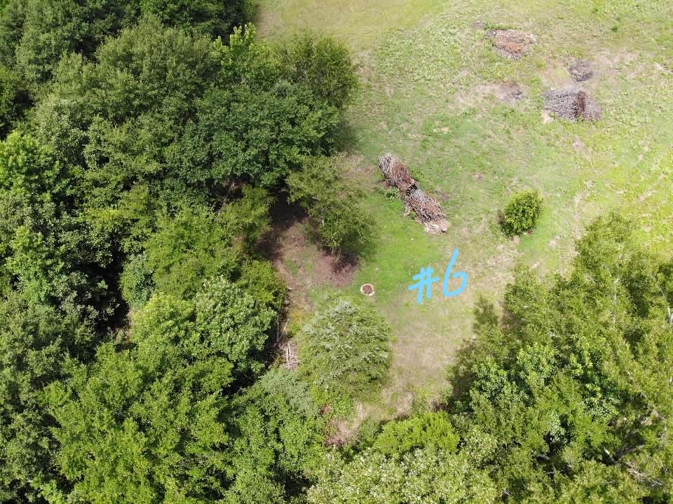 Sandy Ridge Camping
