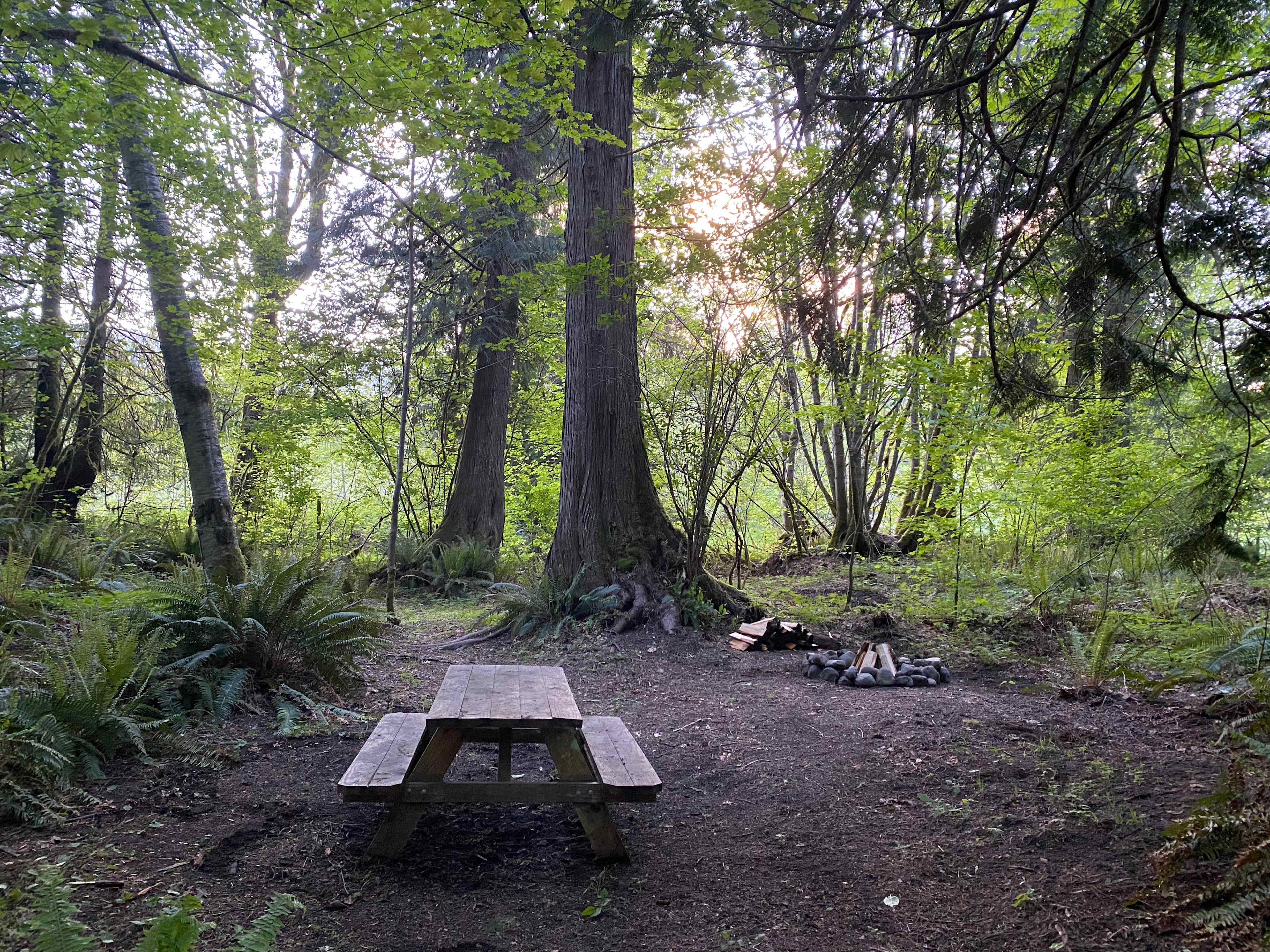 Tranquil Acres