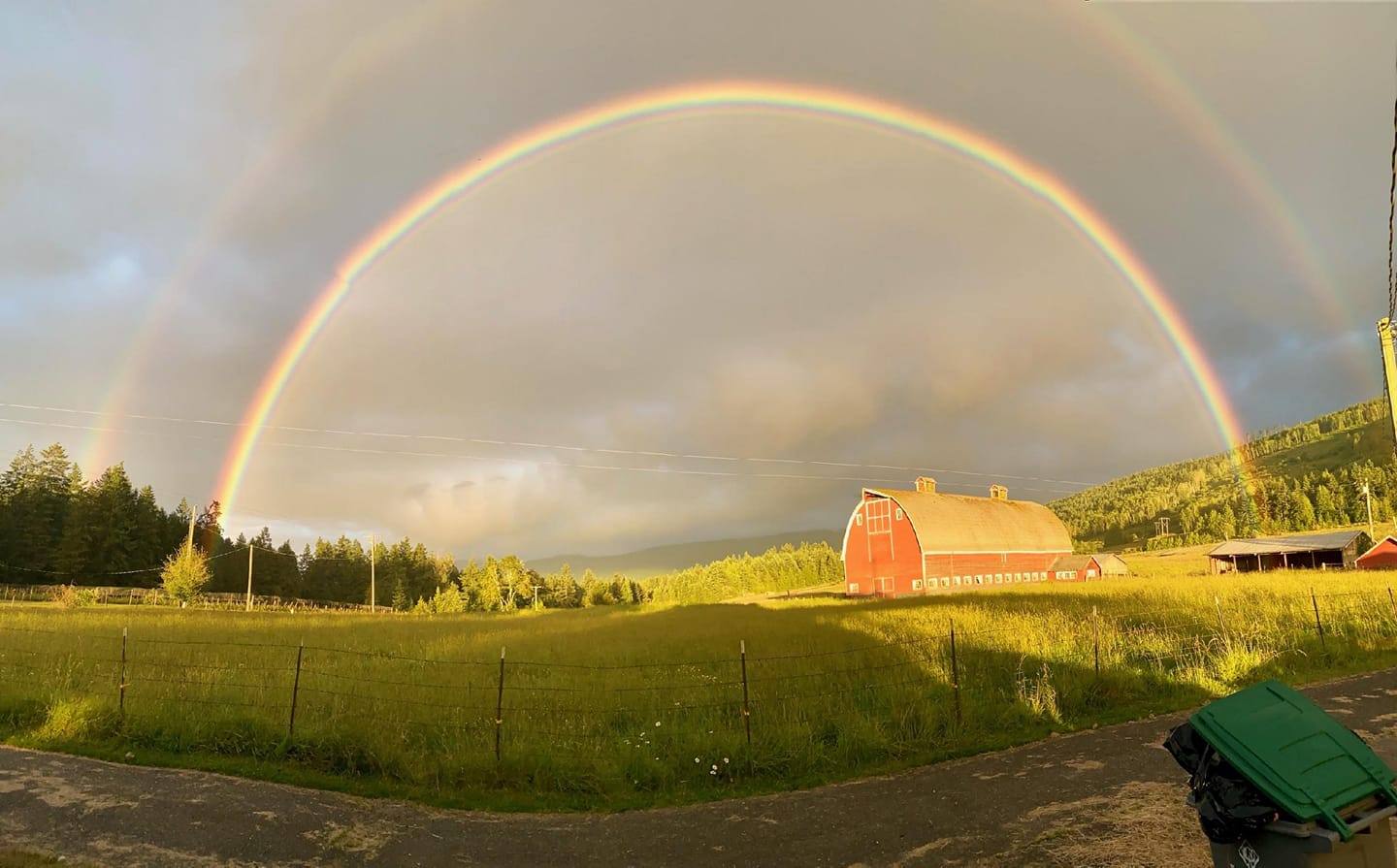 Spring Rainbow