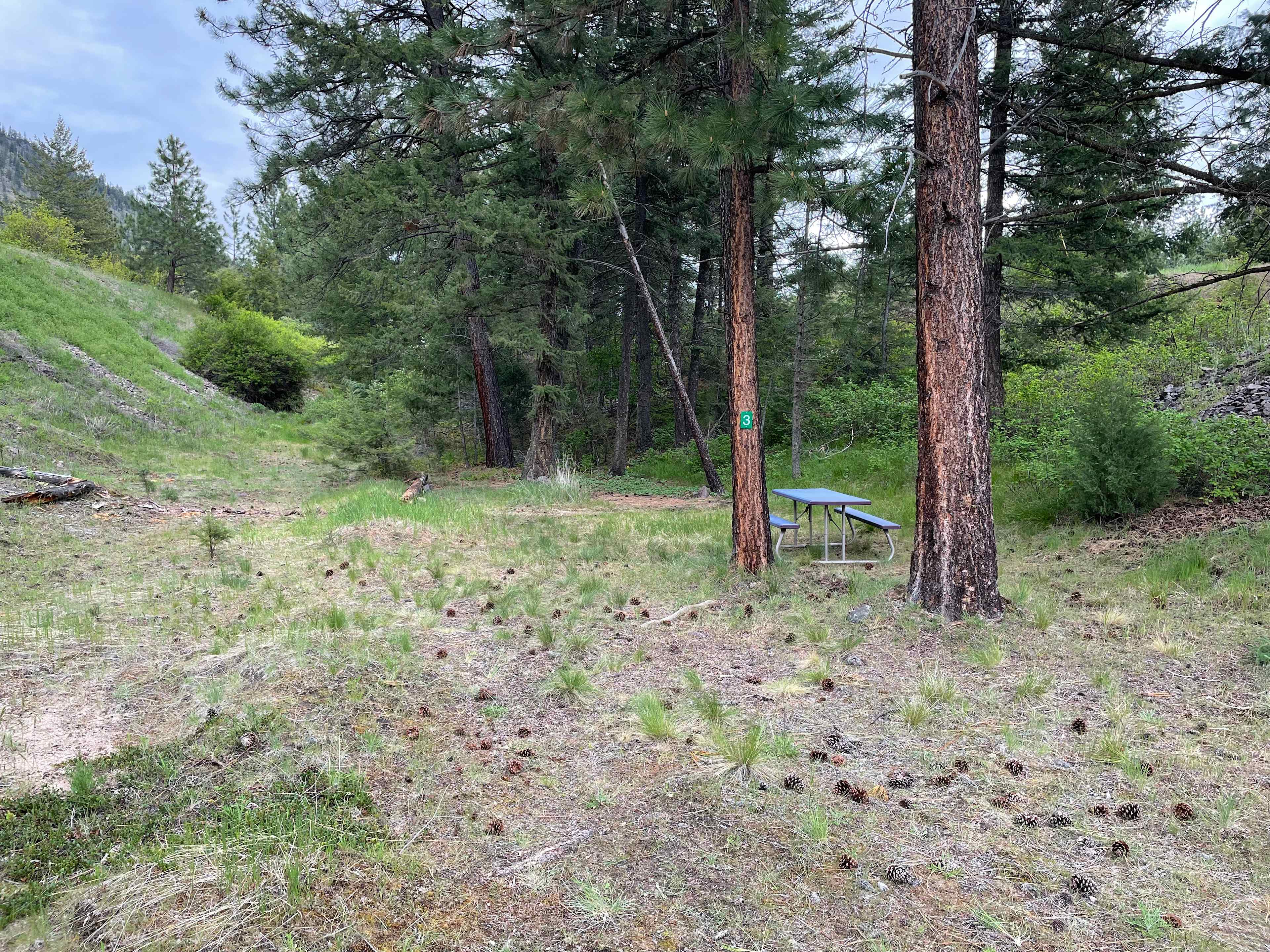 Site #3 - East Meadow camp