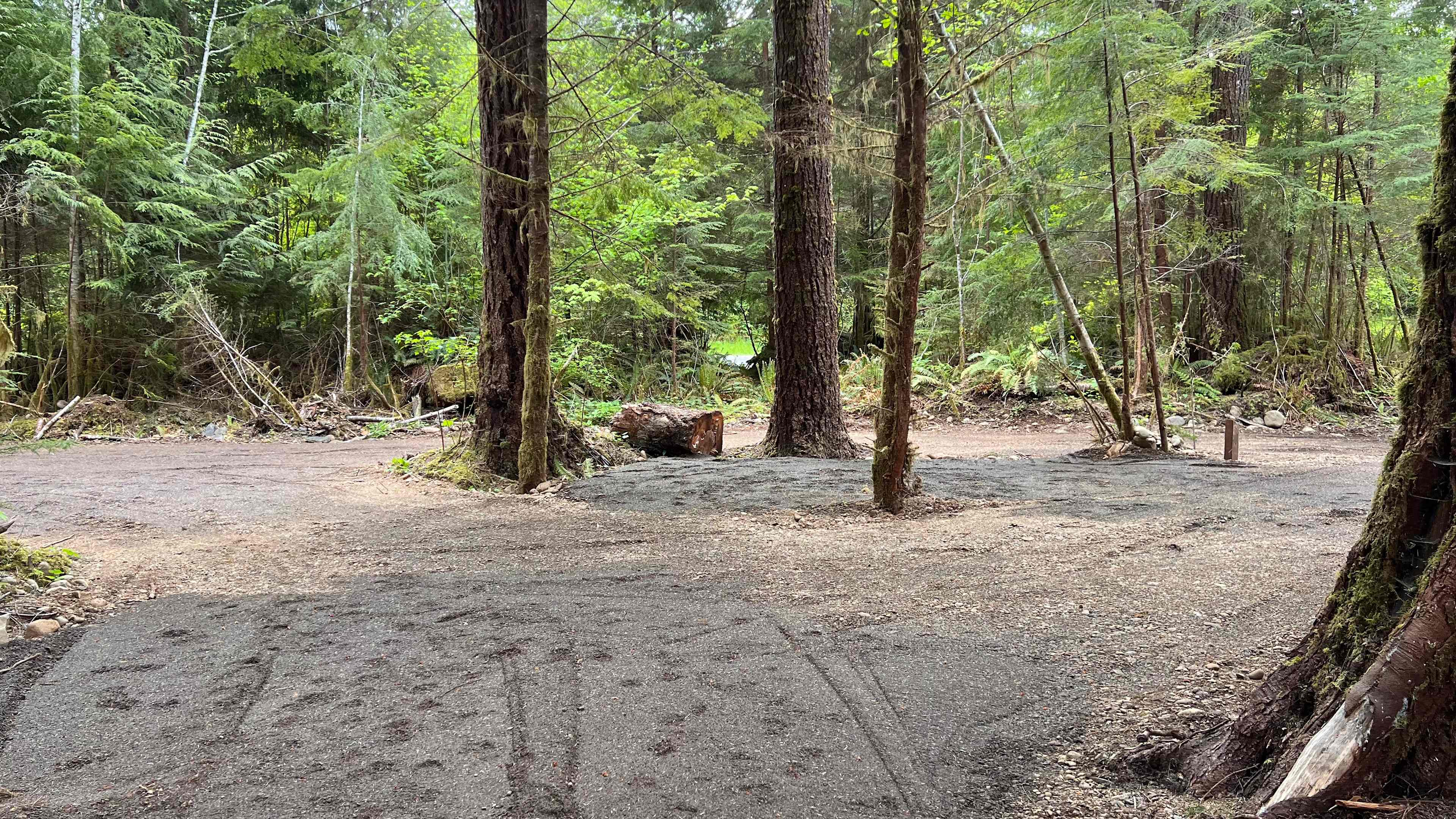 Dawleys SolDuc River Campground