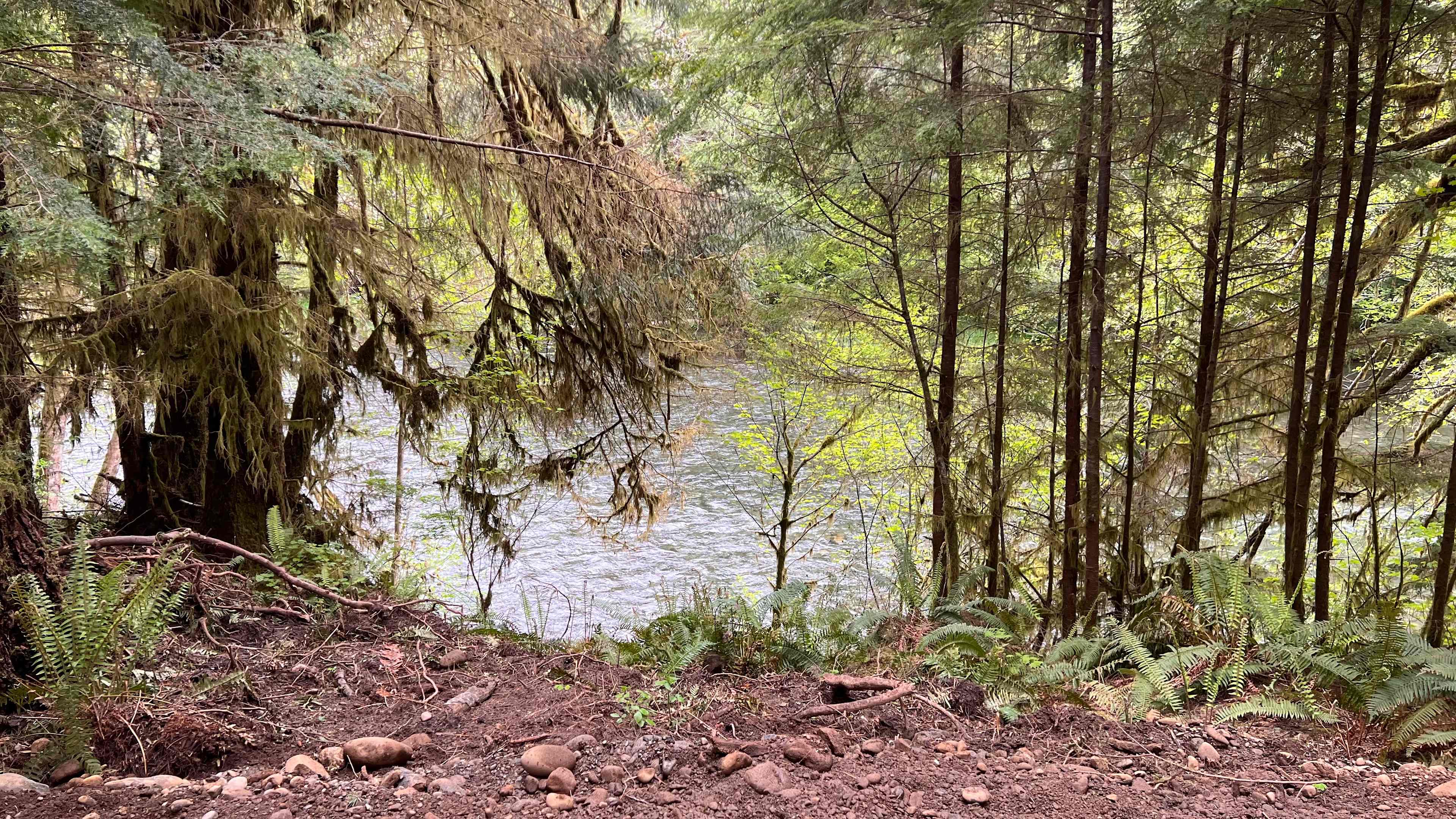 Dawleys SolDuc River Campground
