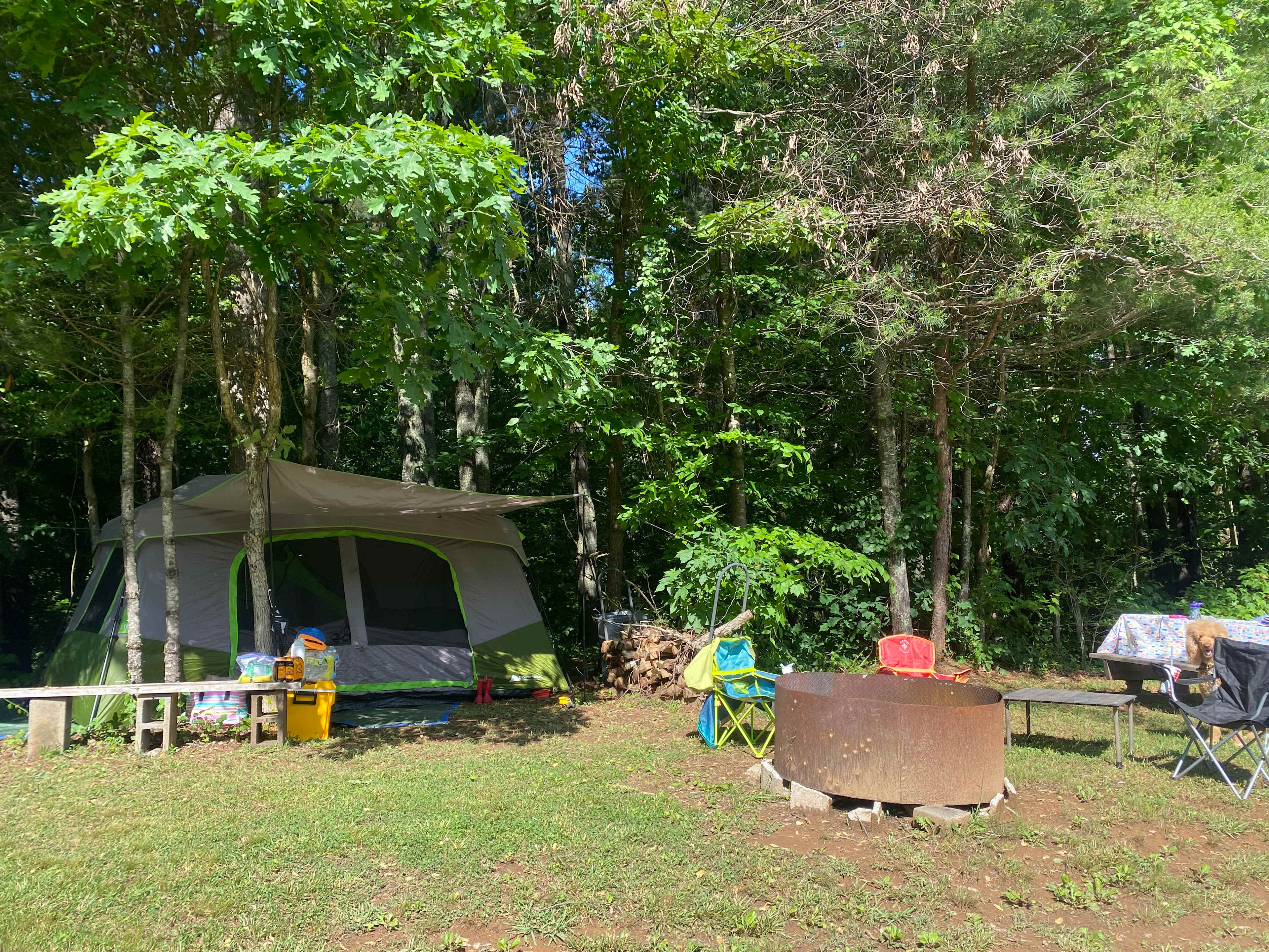 Mountain View Acres