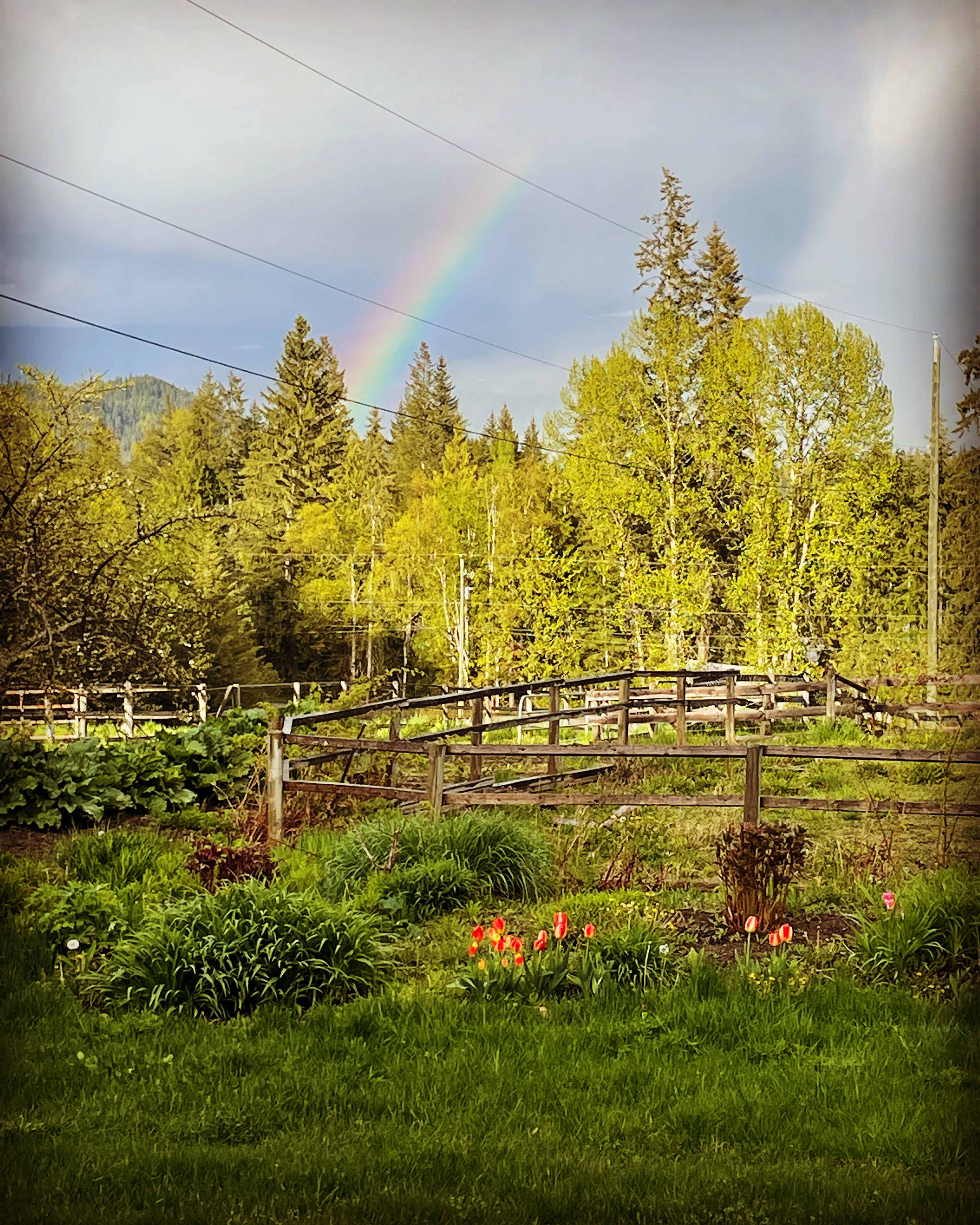 Stoey’s Alpaca Farm
