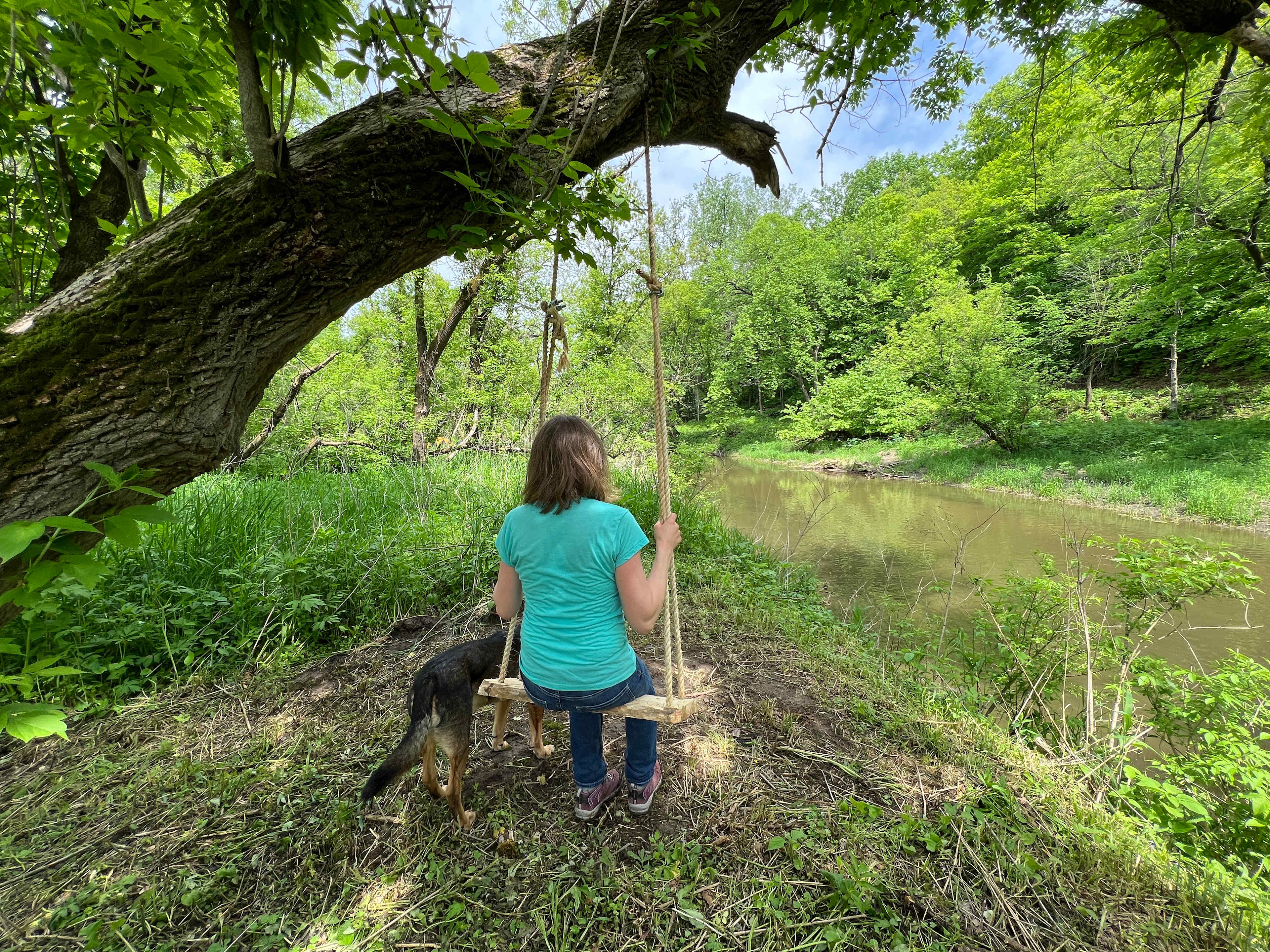 The swing is located on the trail between Mellow Yellow and Island Blue camps!