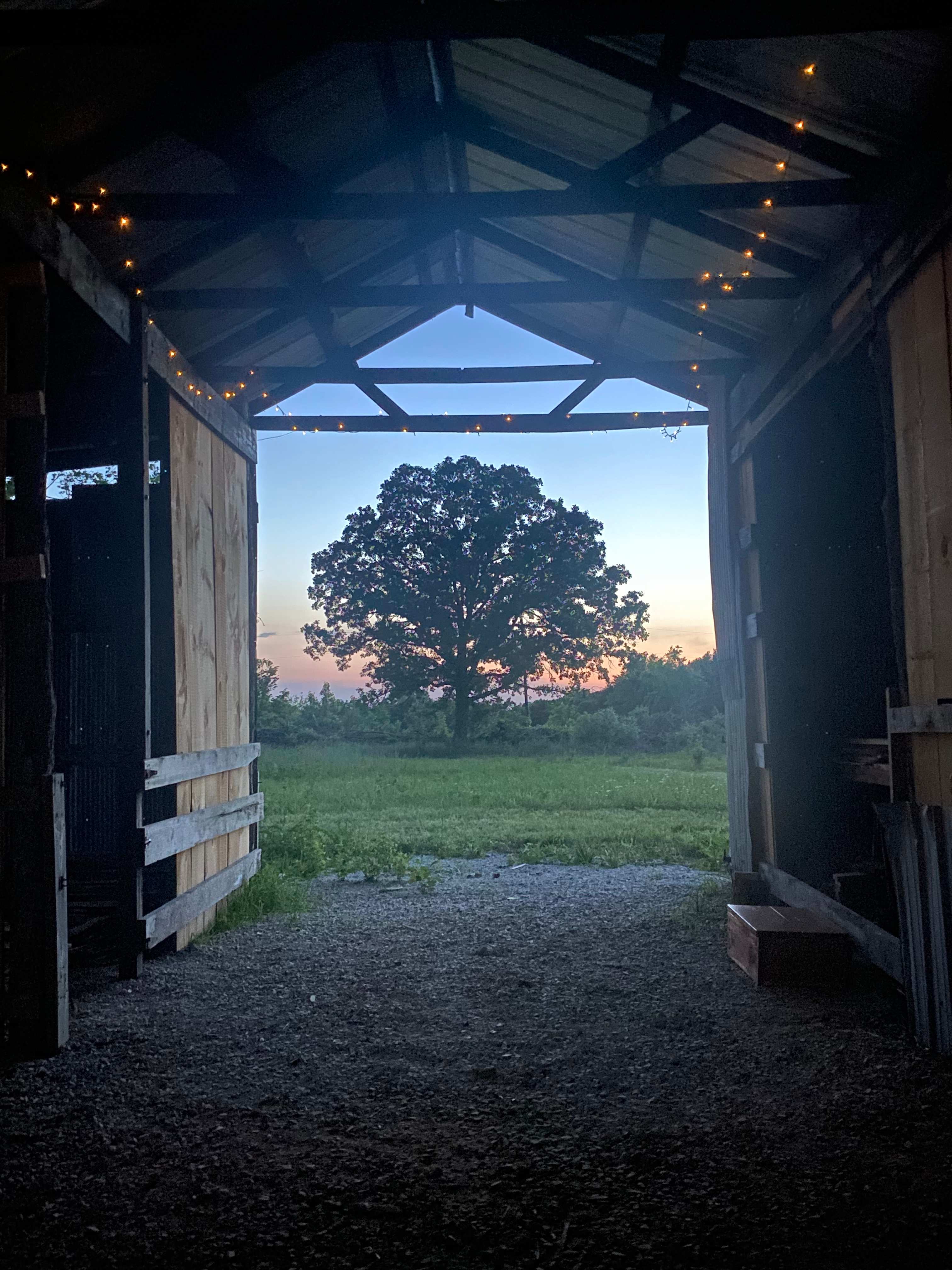 B Berry Farms & Co.