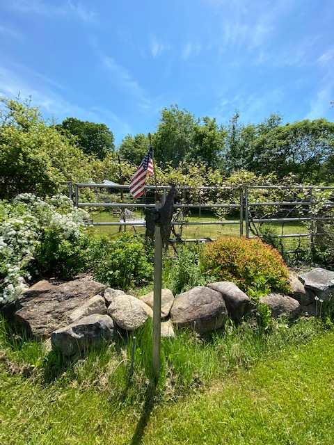 Peaceful Packies @ 3 Willows Farm