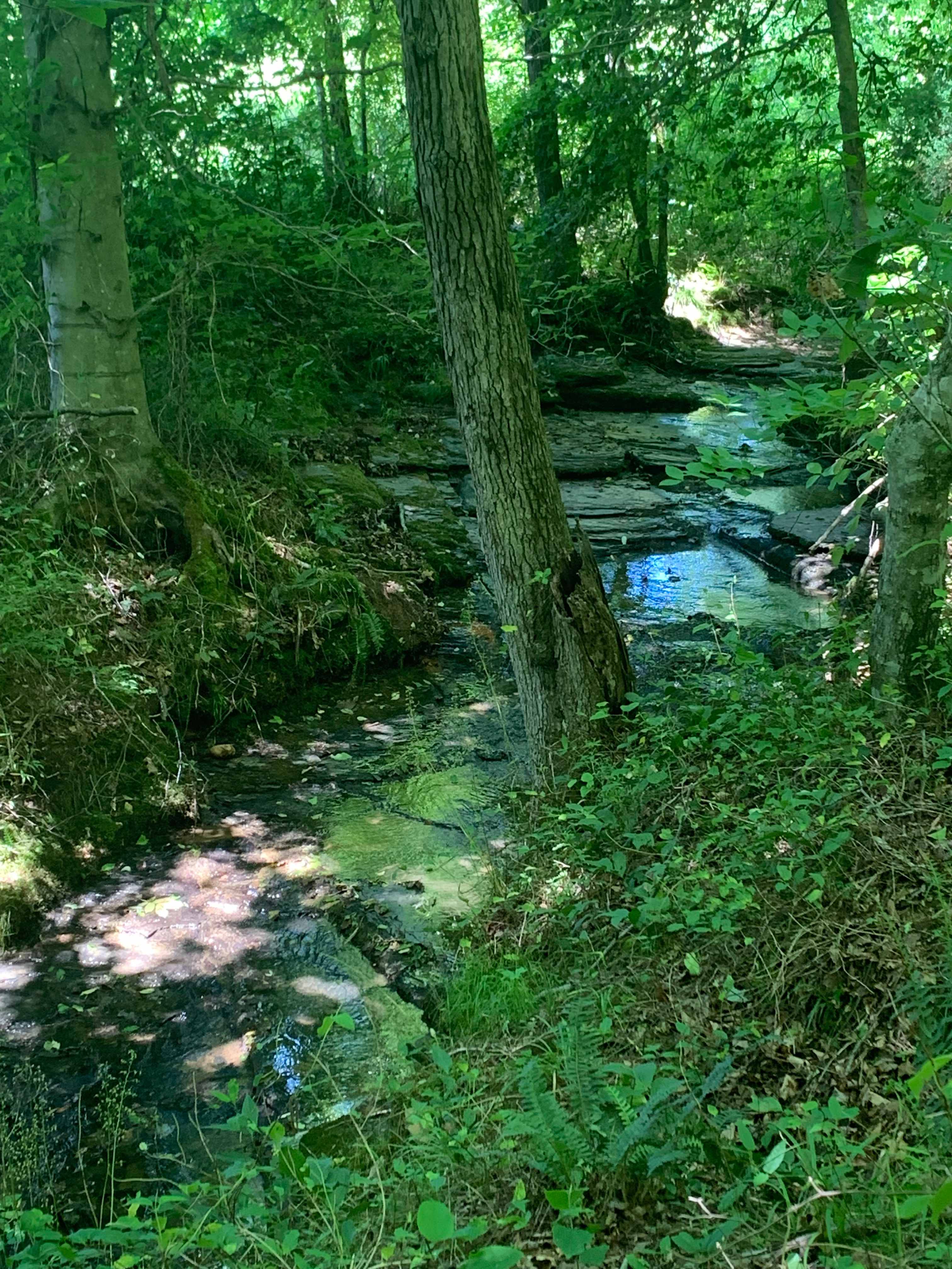 Patrick's Point River Camp