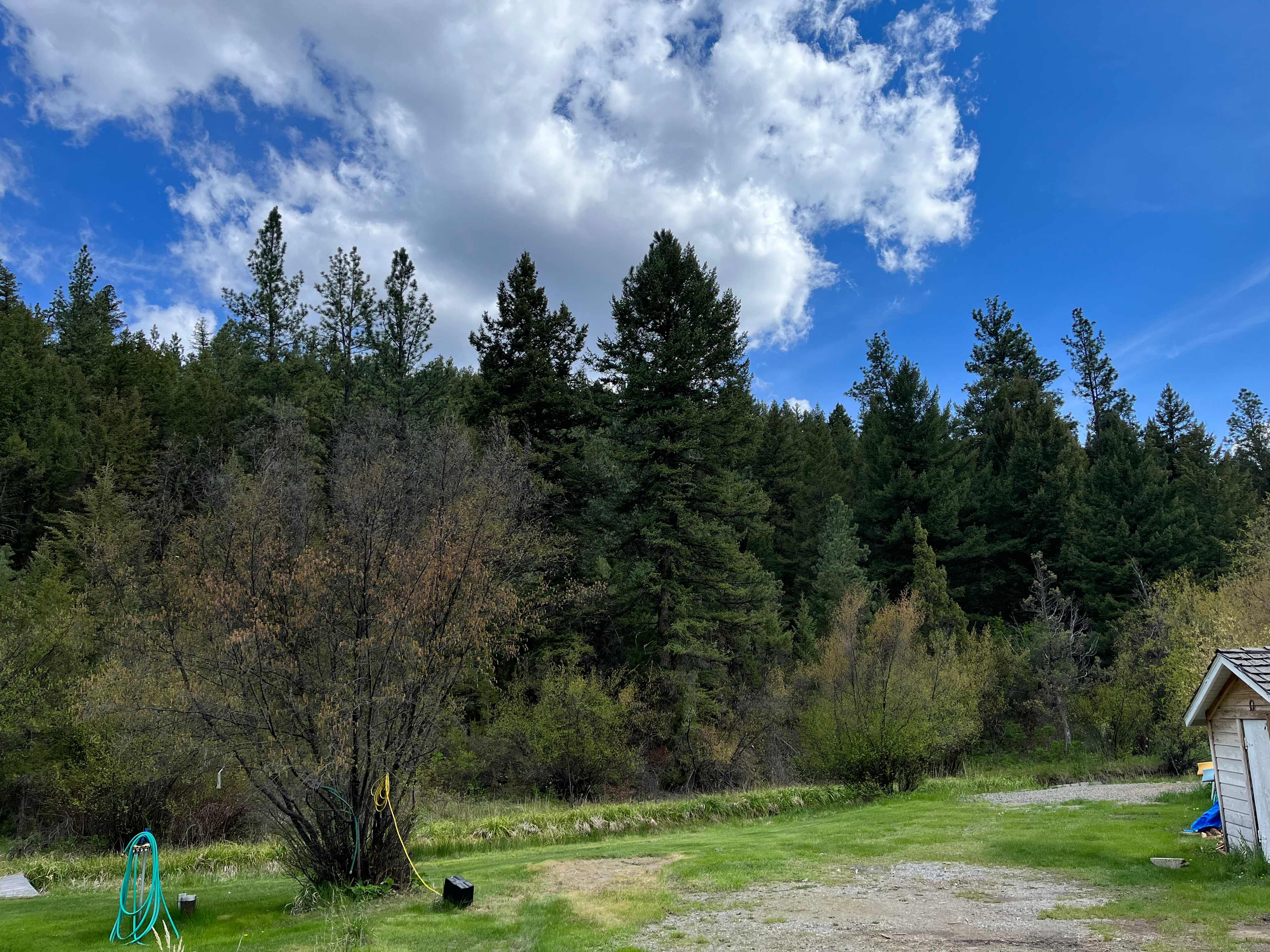 Shows campsite