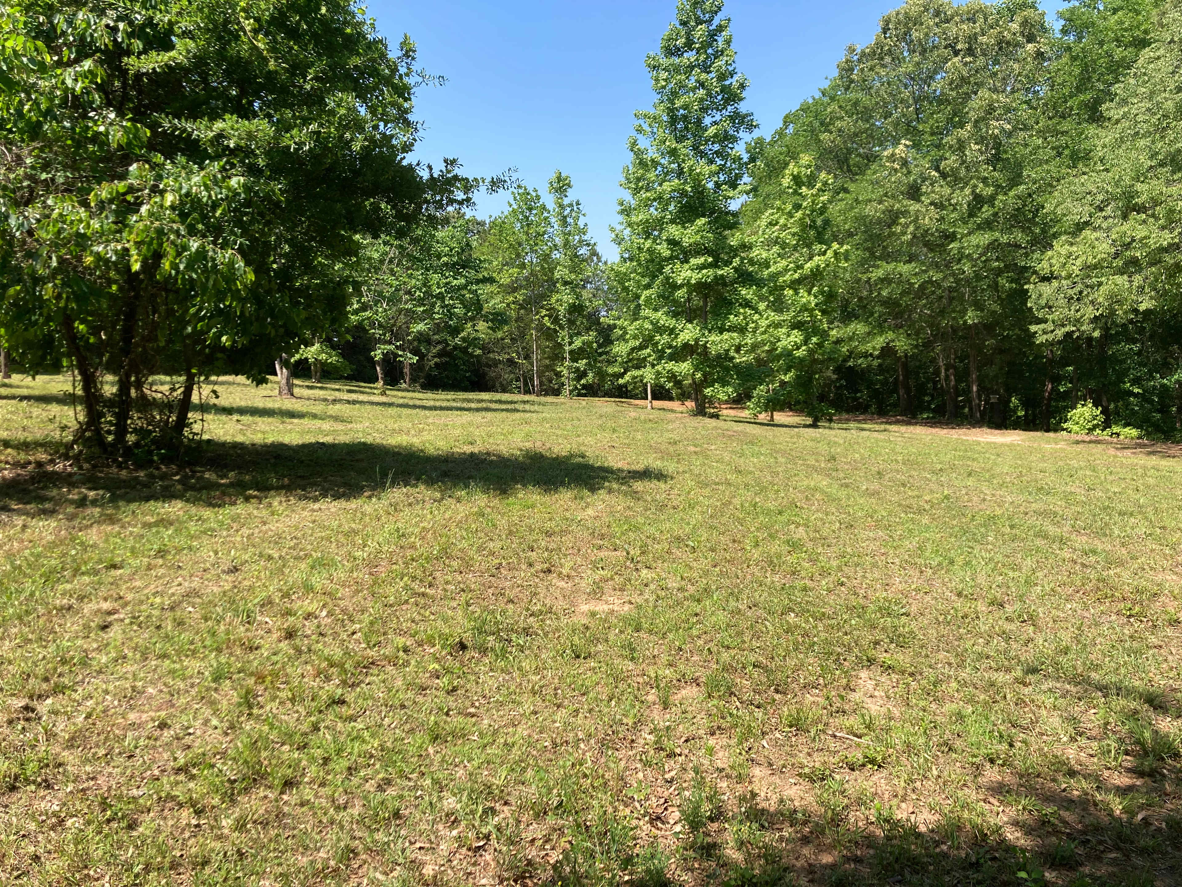 Field By The Pond